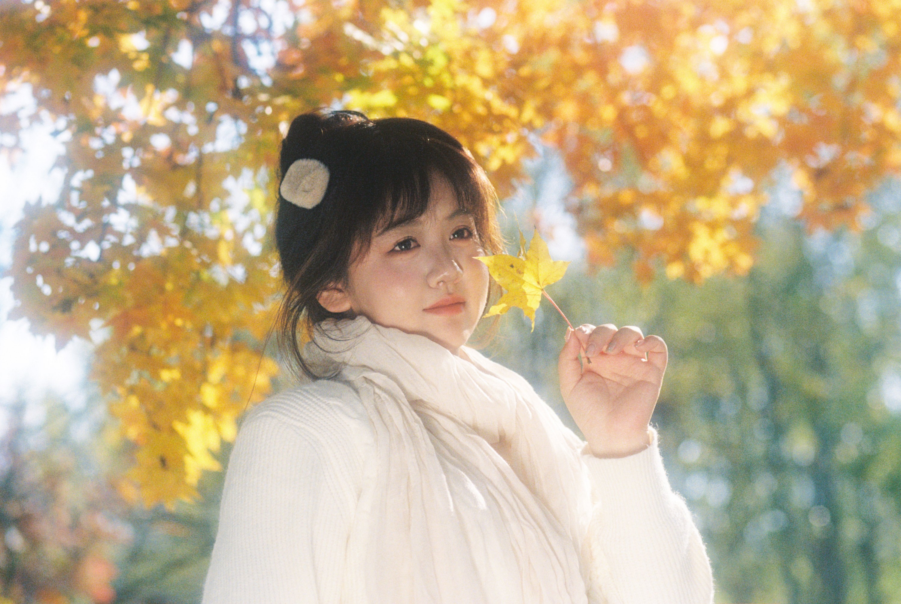 。 – 《在这个落叶像雪的季节》[11P]