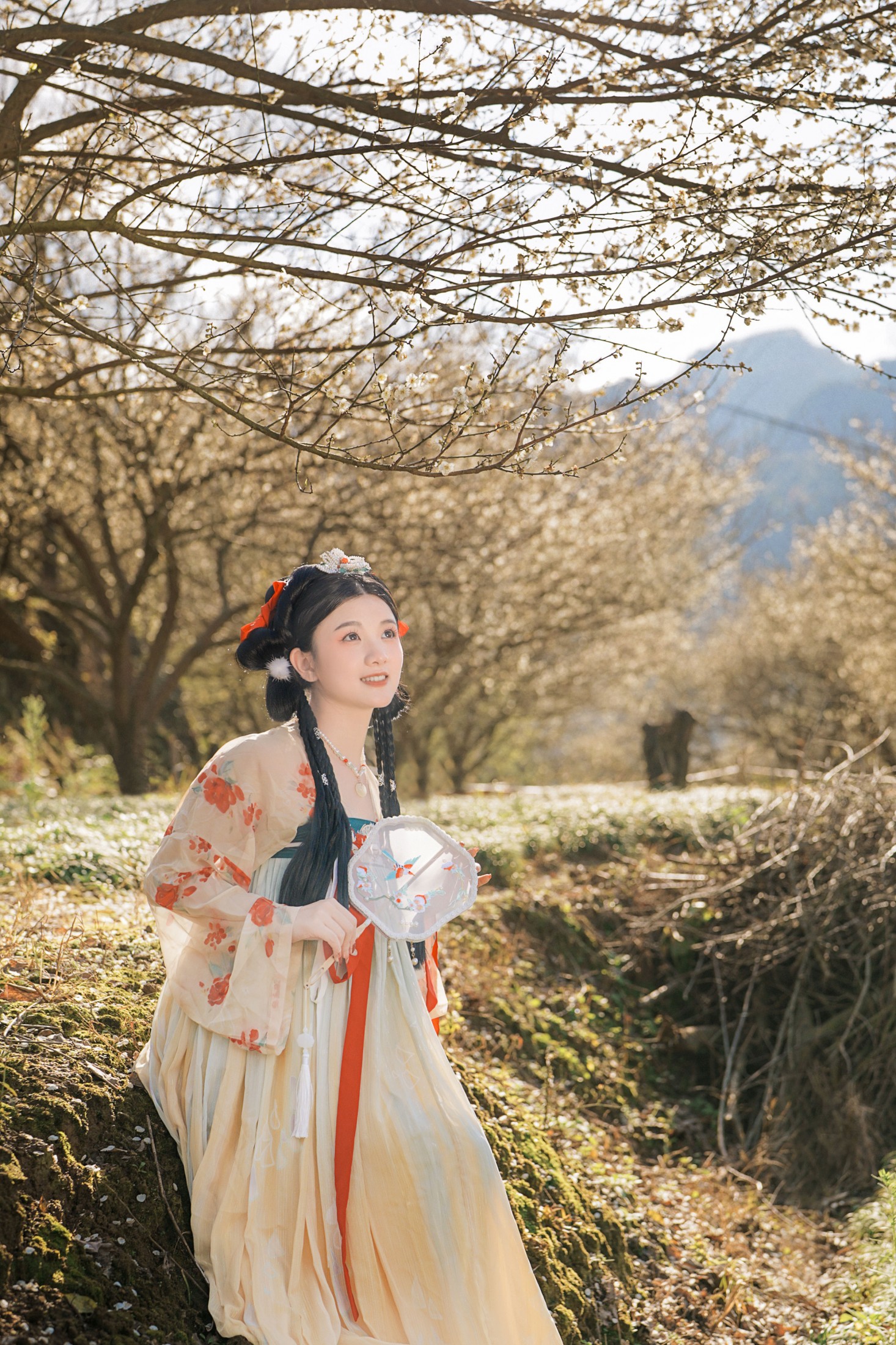 圆圆 – 《古风人像拍摄-梅花-圆圆》[20P]