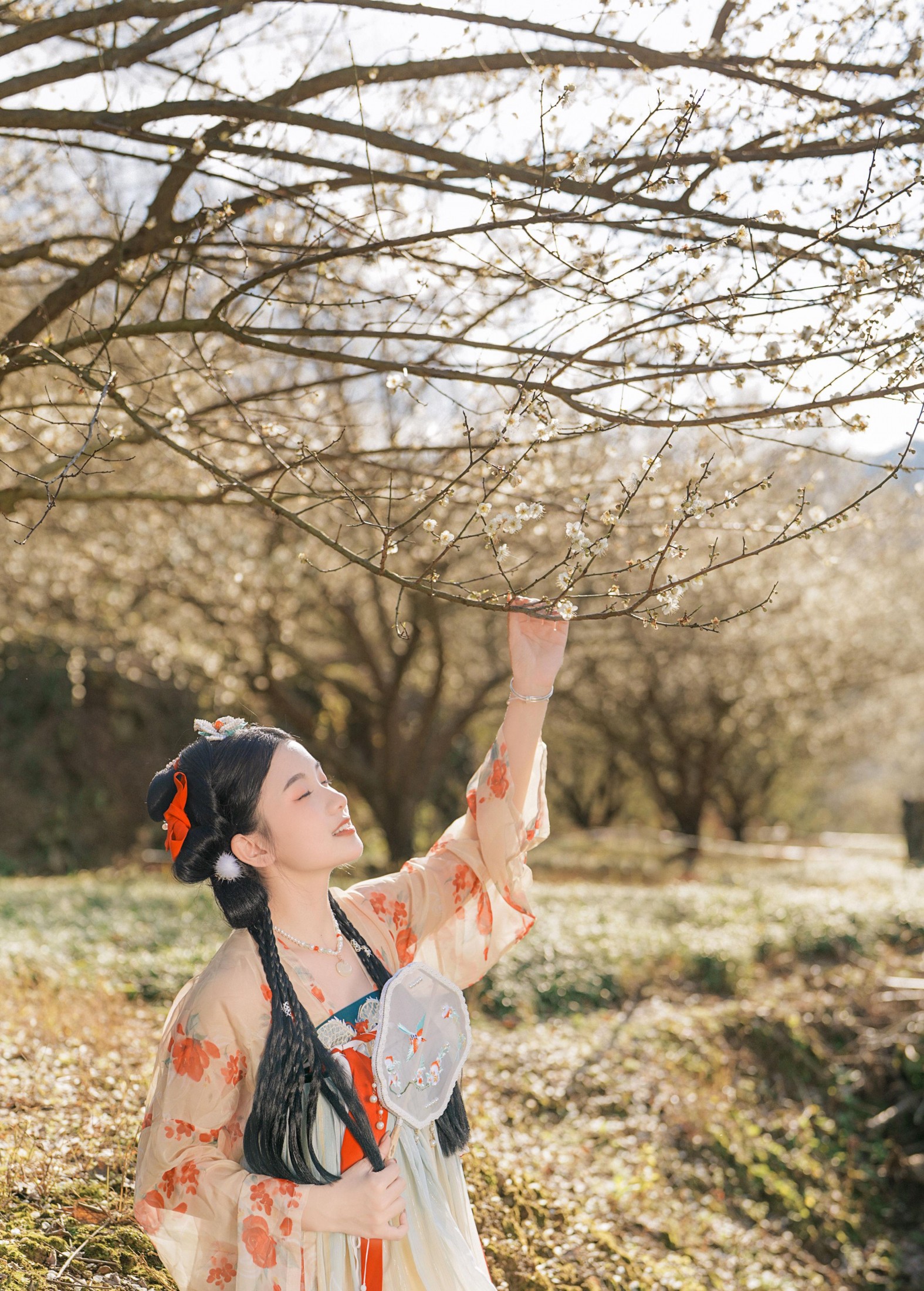 圆圆 – 《古风人像拍摄-梅花-圆圆》[20P] 插图2