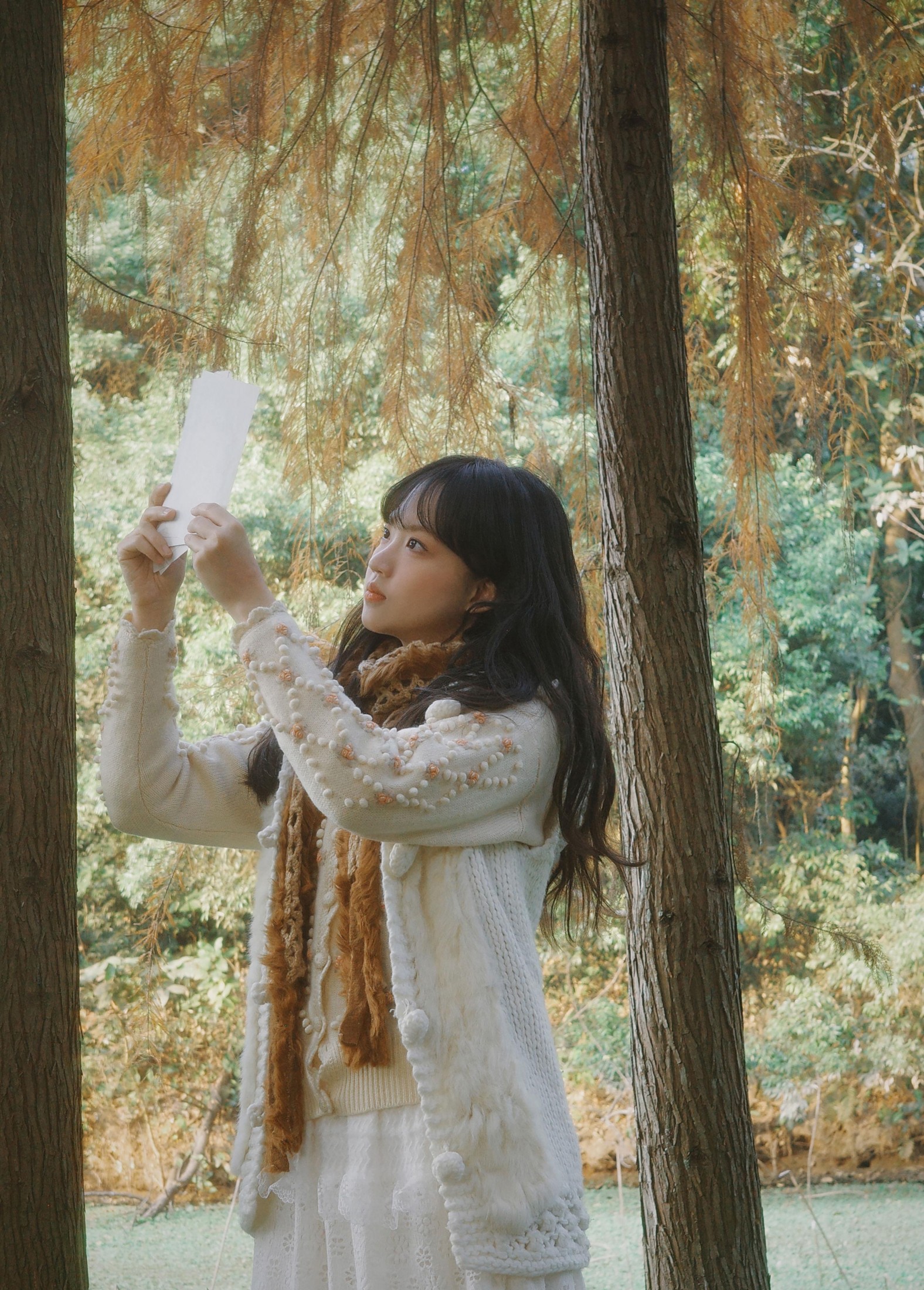 – 《森林梦核》[25P]