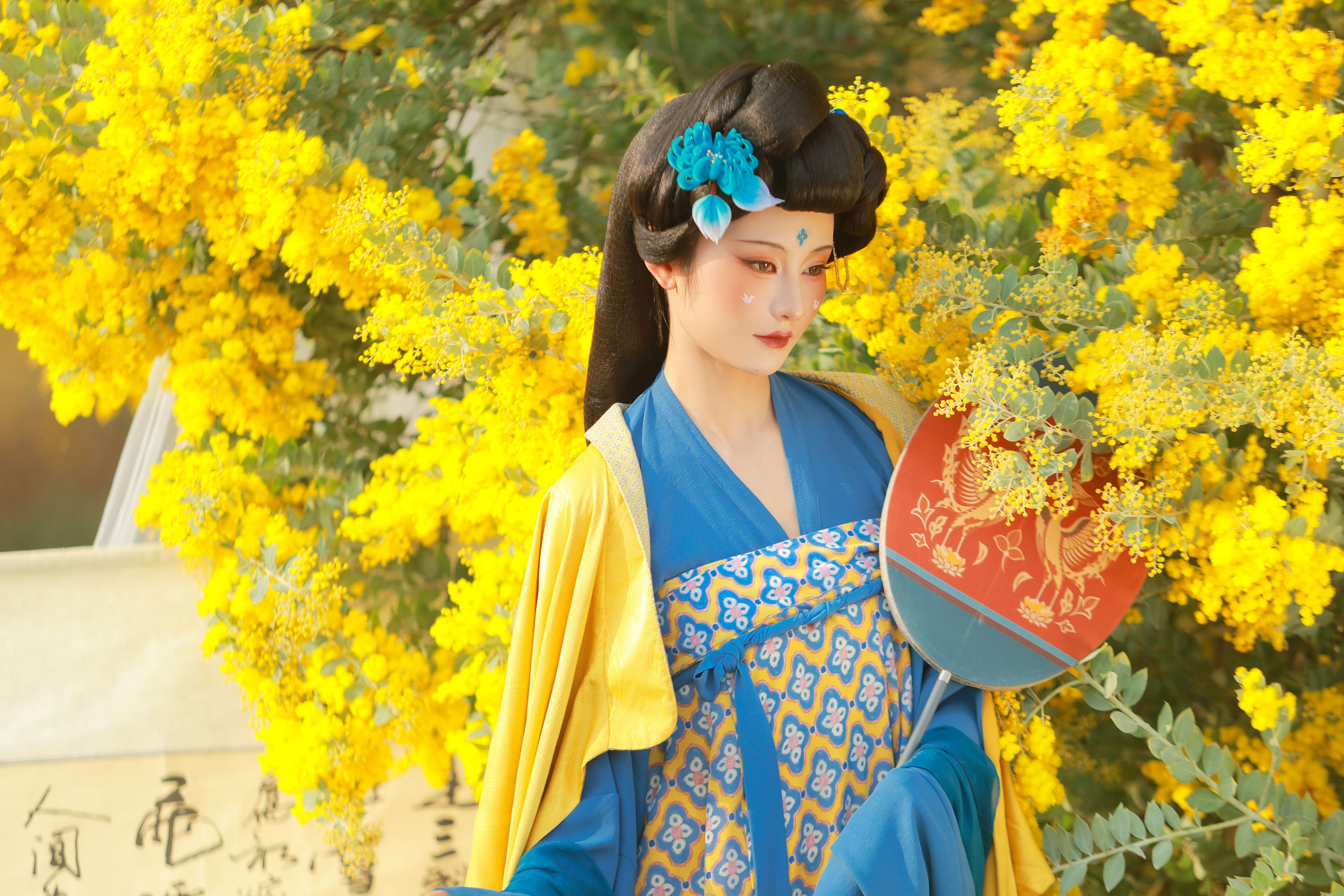 不听山 – 《唐 • 金合欢》[11P]