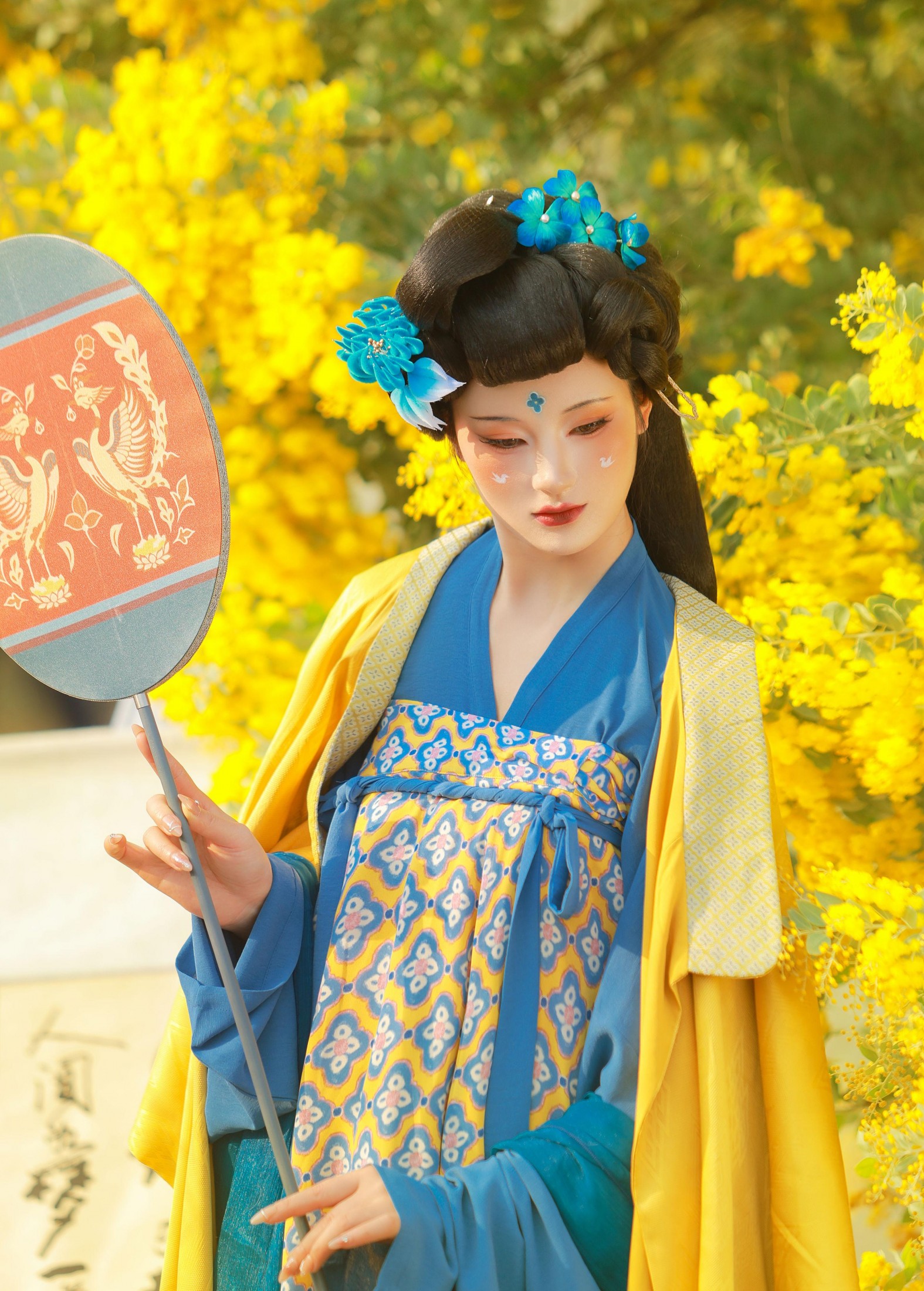 不听山 – 《唐 • 金合欢》[11P]