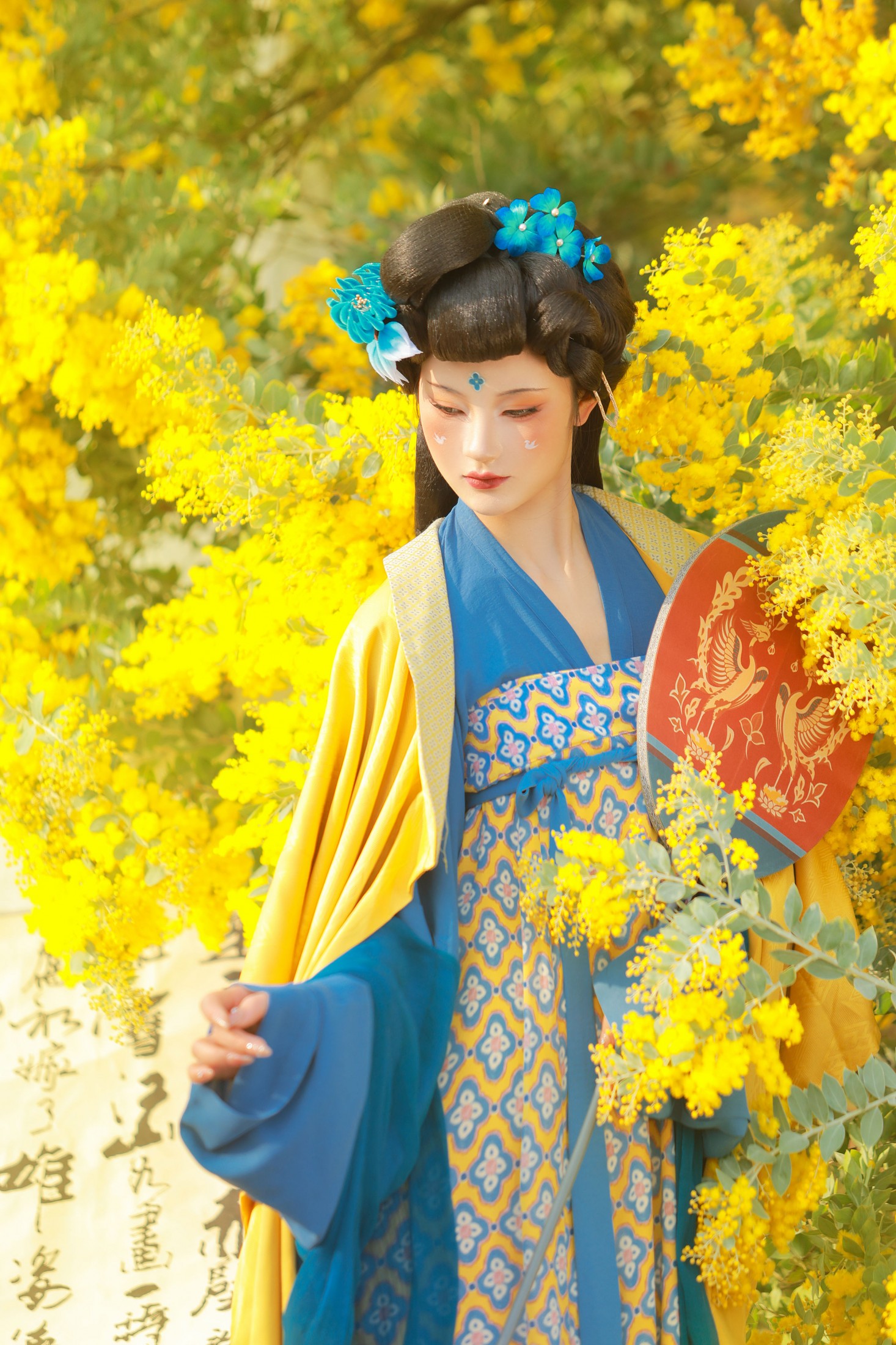 不听山 – 《唐 • 金合欢》[11P]