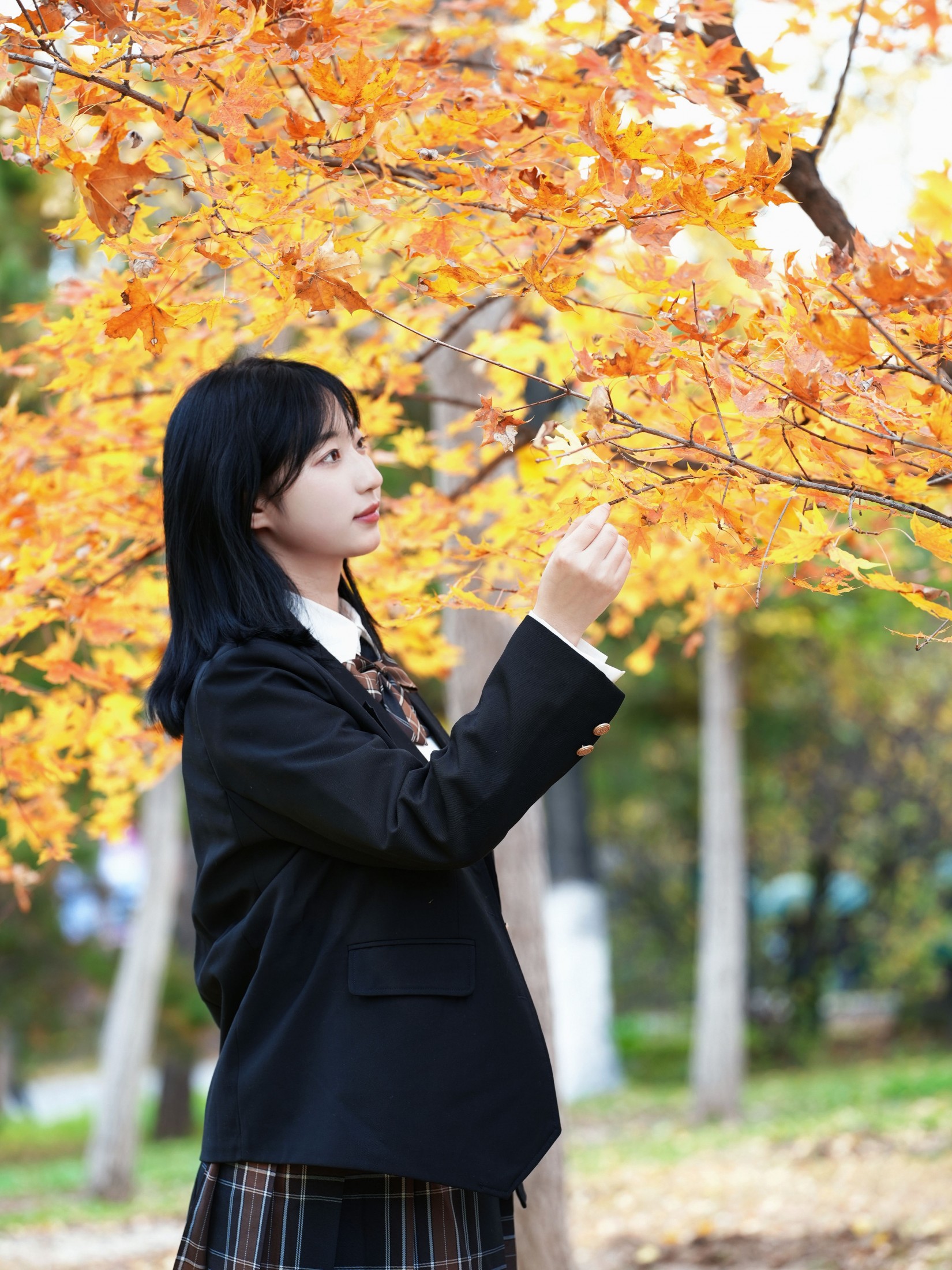 – 《思念的季节》[31P]