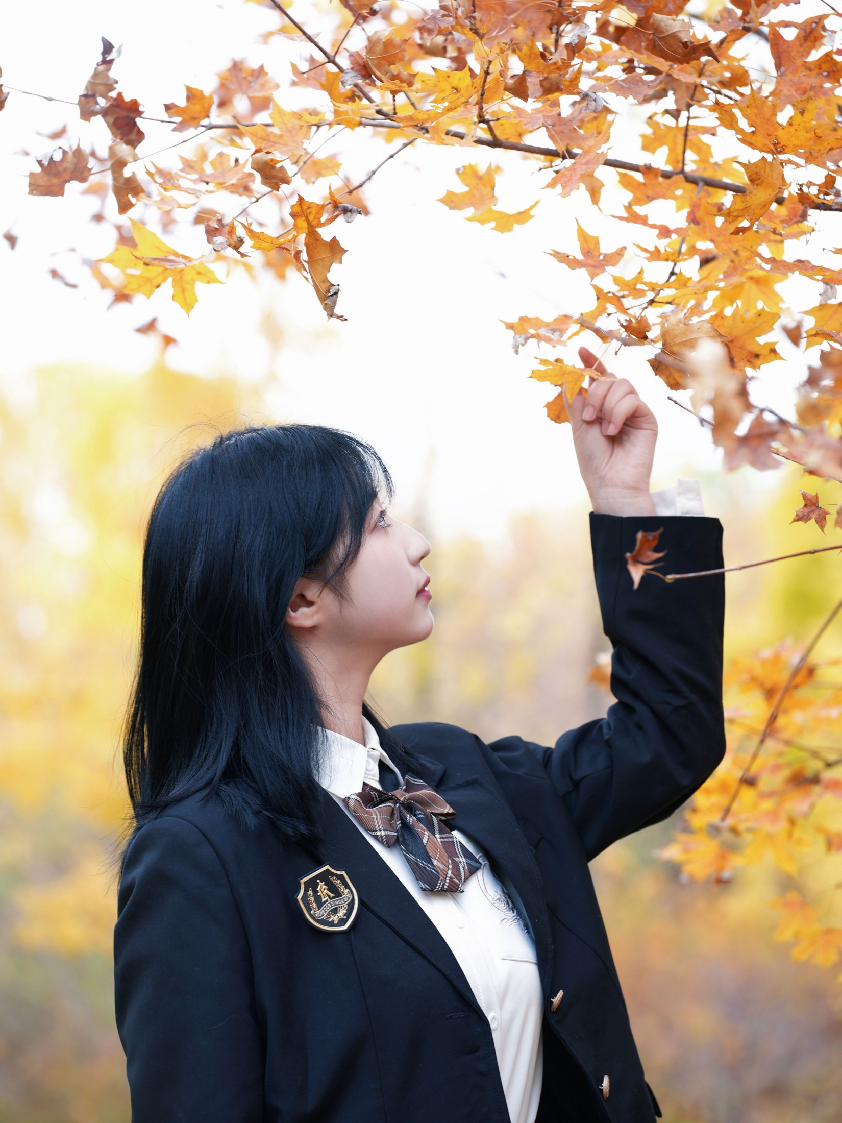 – 《思念的季节》[31P]