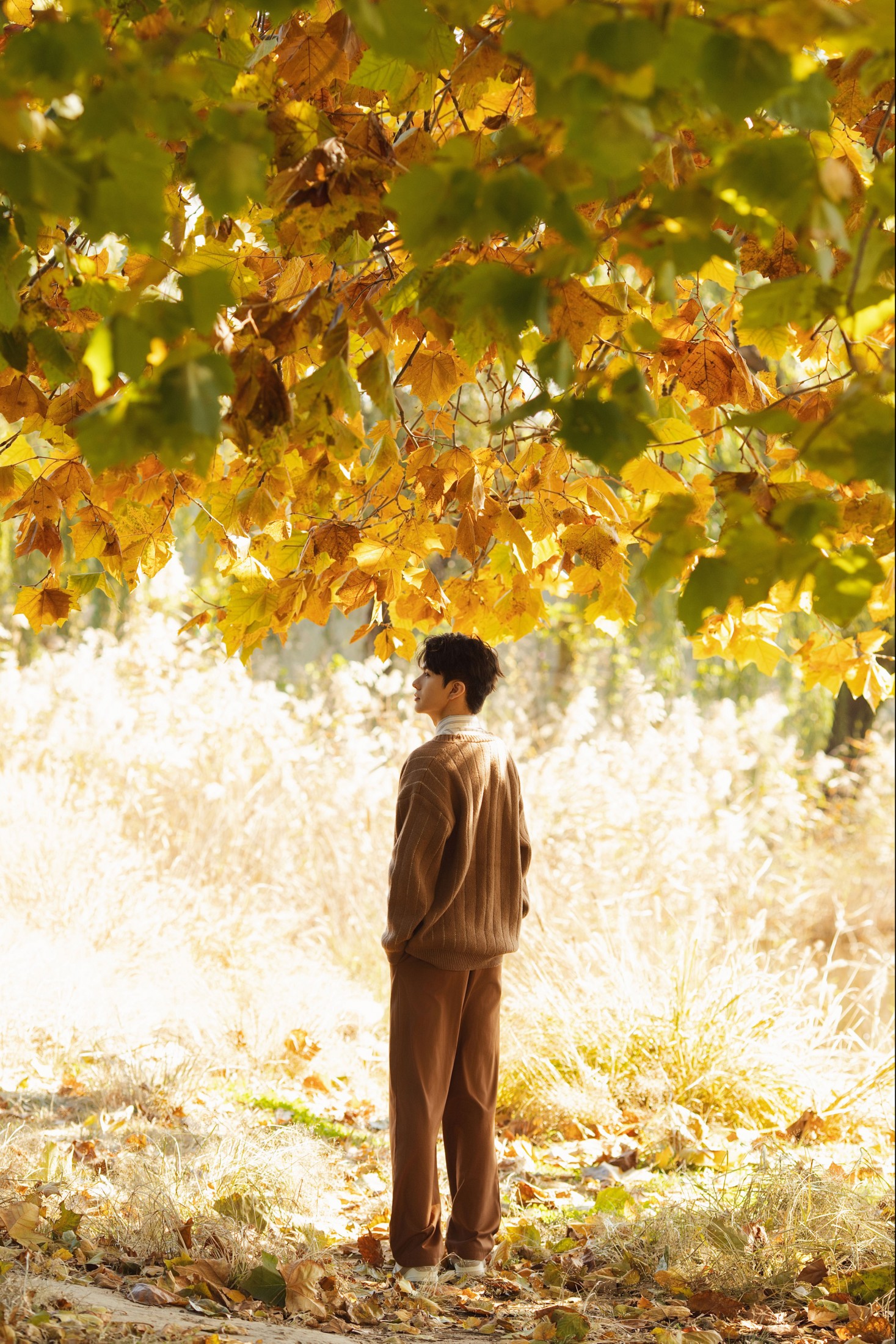 言弟弟 – 《秋意情书》[46P]