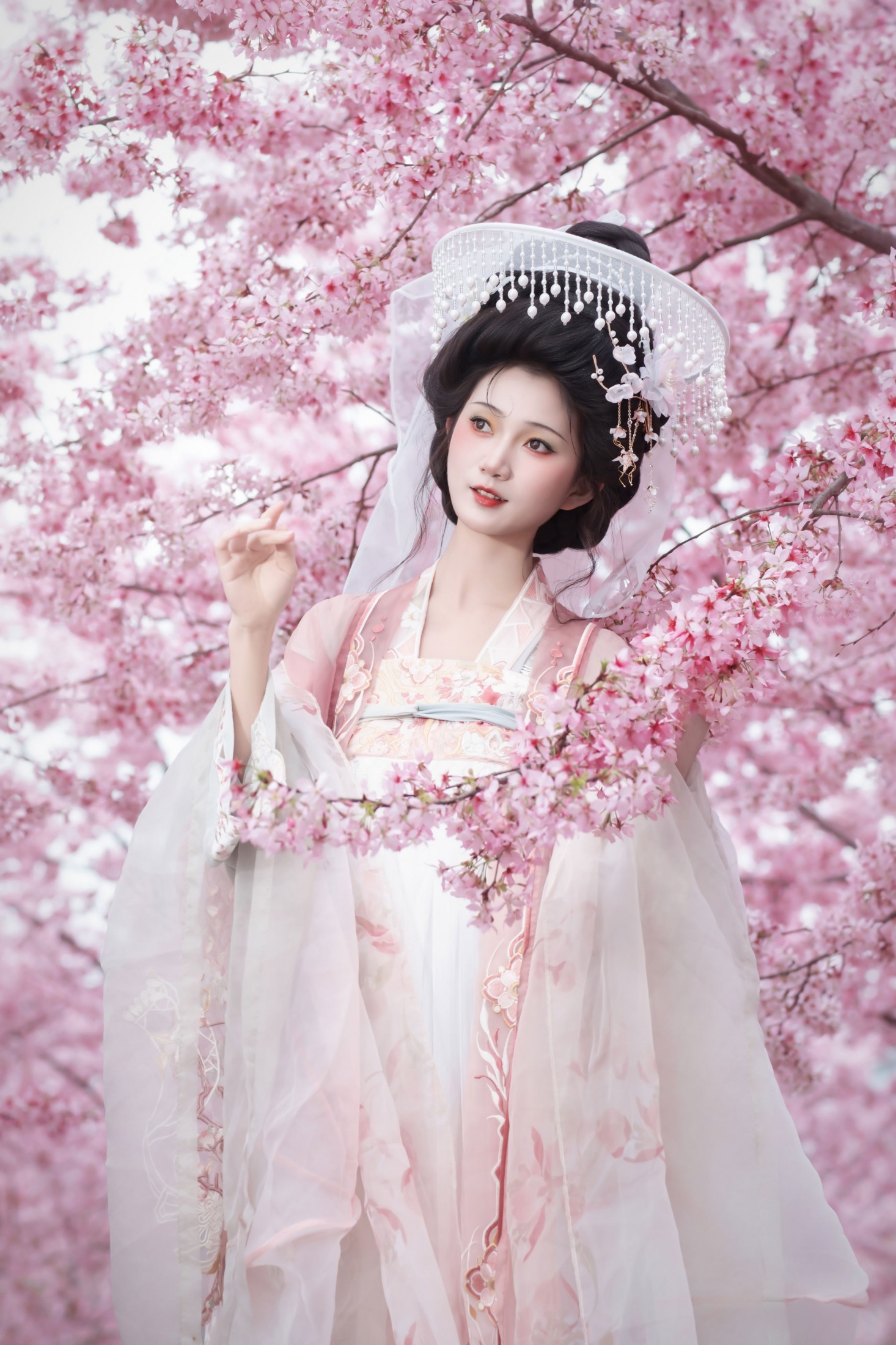 – 《春日》[18P]