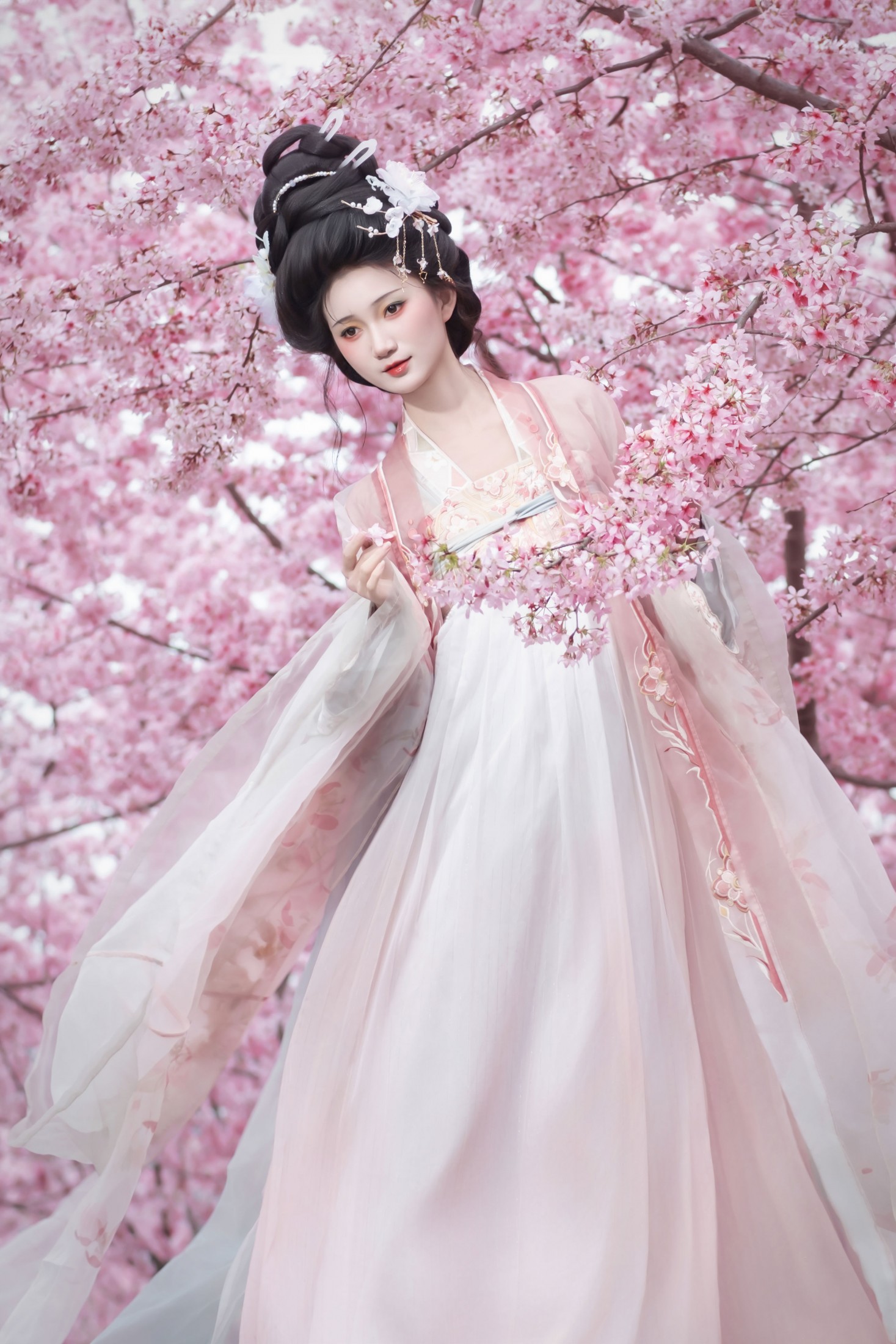 – 《春日》[18P]