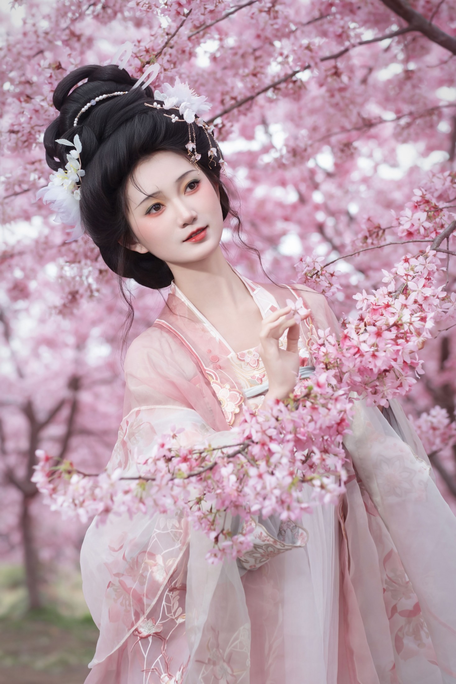 – 《春日》[18P]