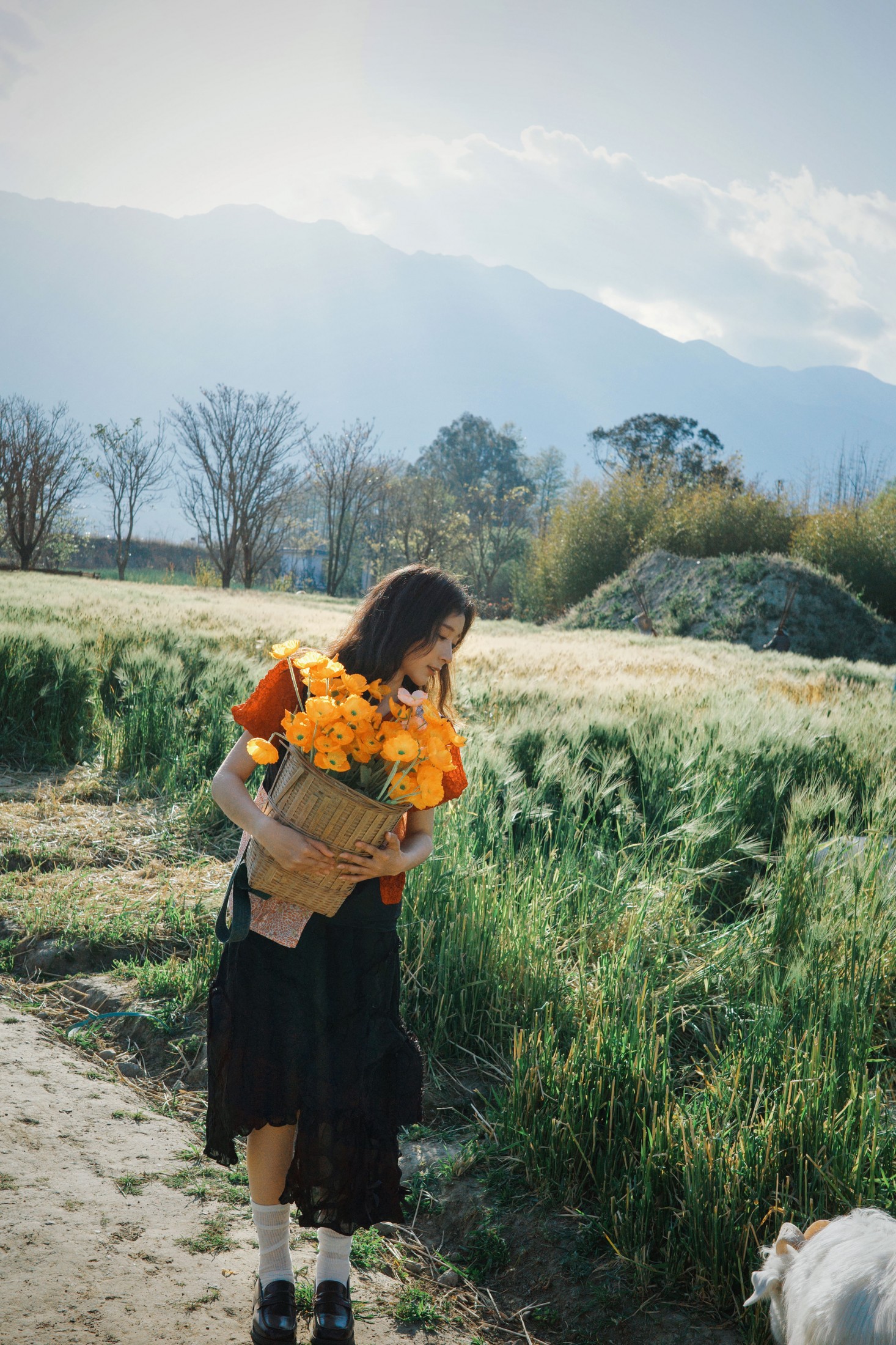 – 《农场里的四季》[17P]