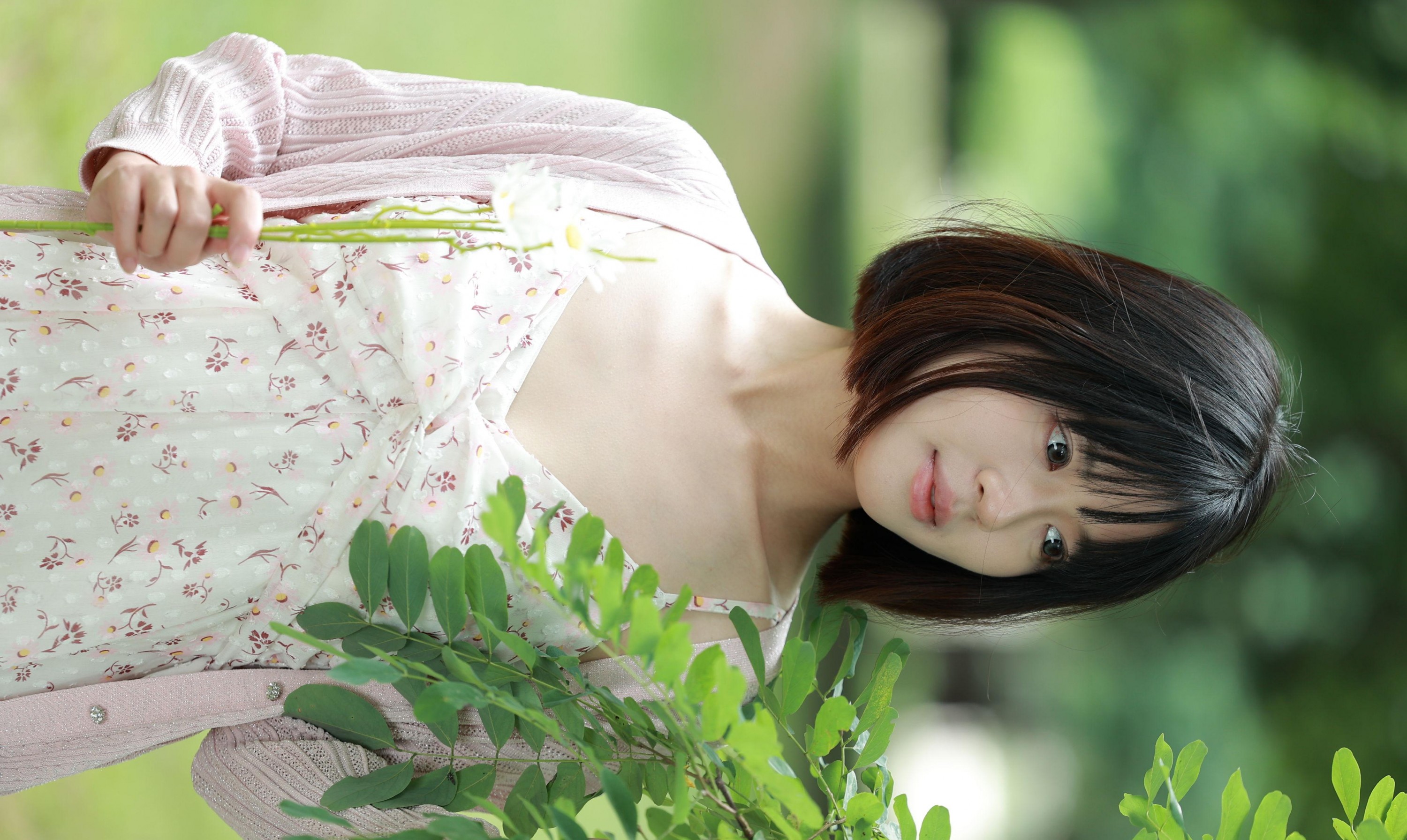 喵呜 – 《雏菊》[12P]