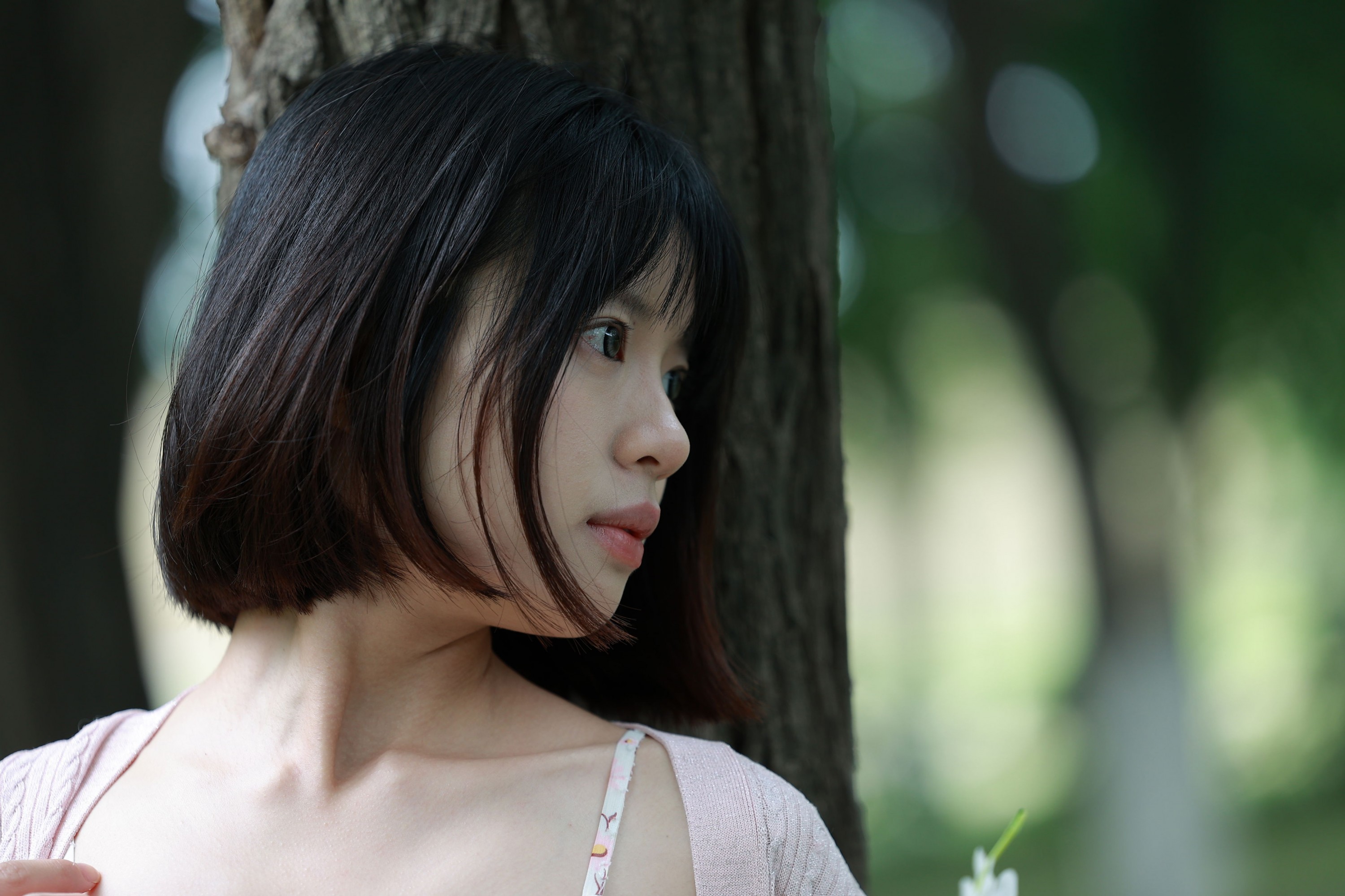 喵呜 – 《雏菊》[12P]