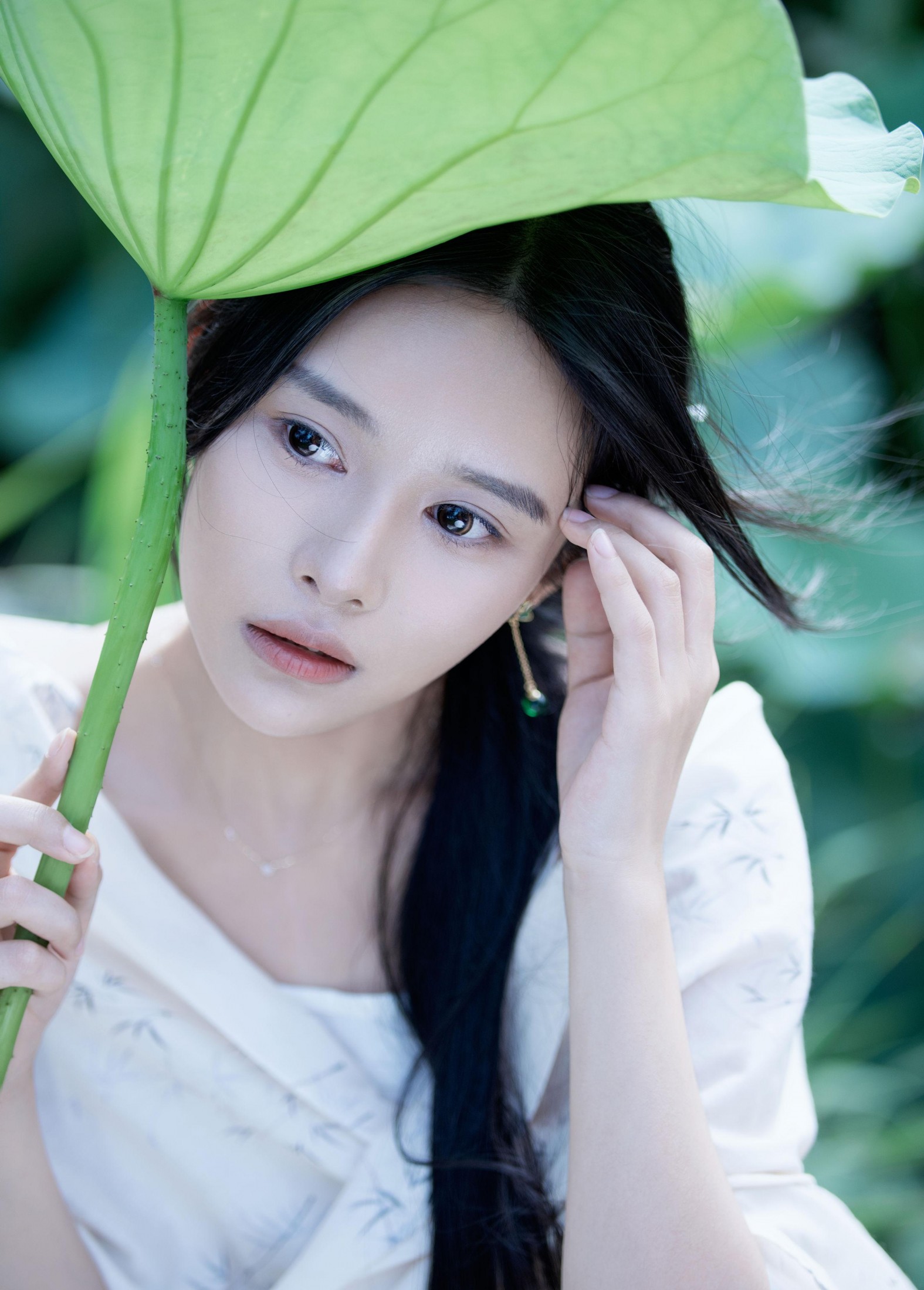 《荷塘清风》[36P] 插图2