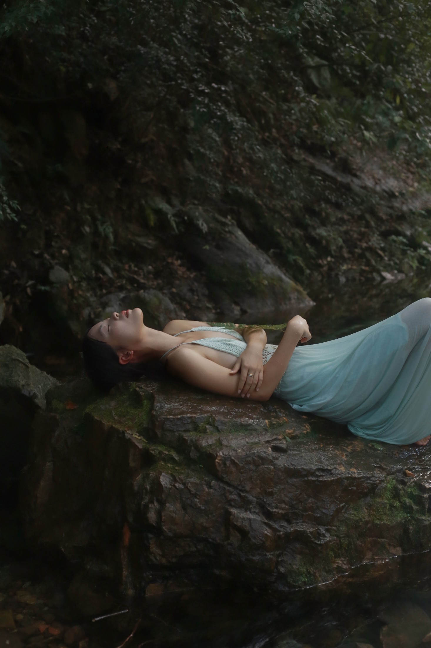 《九溪烟树》[25P]