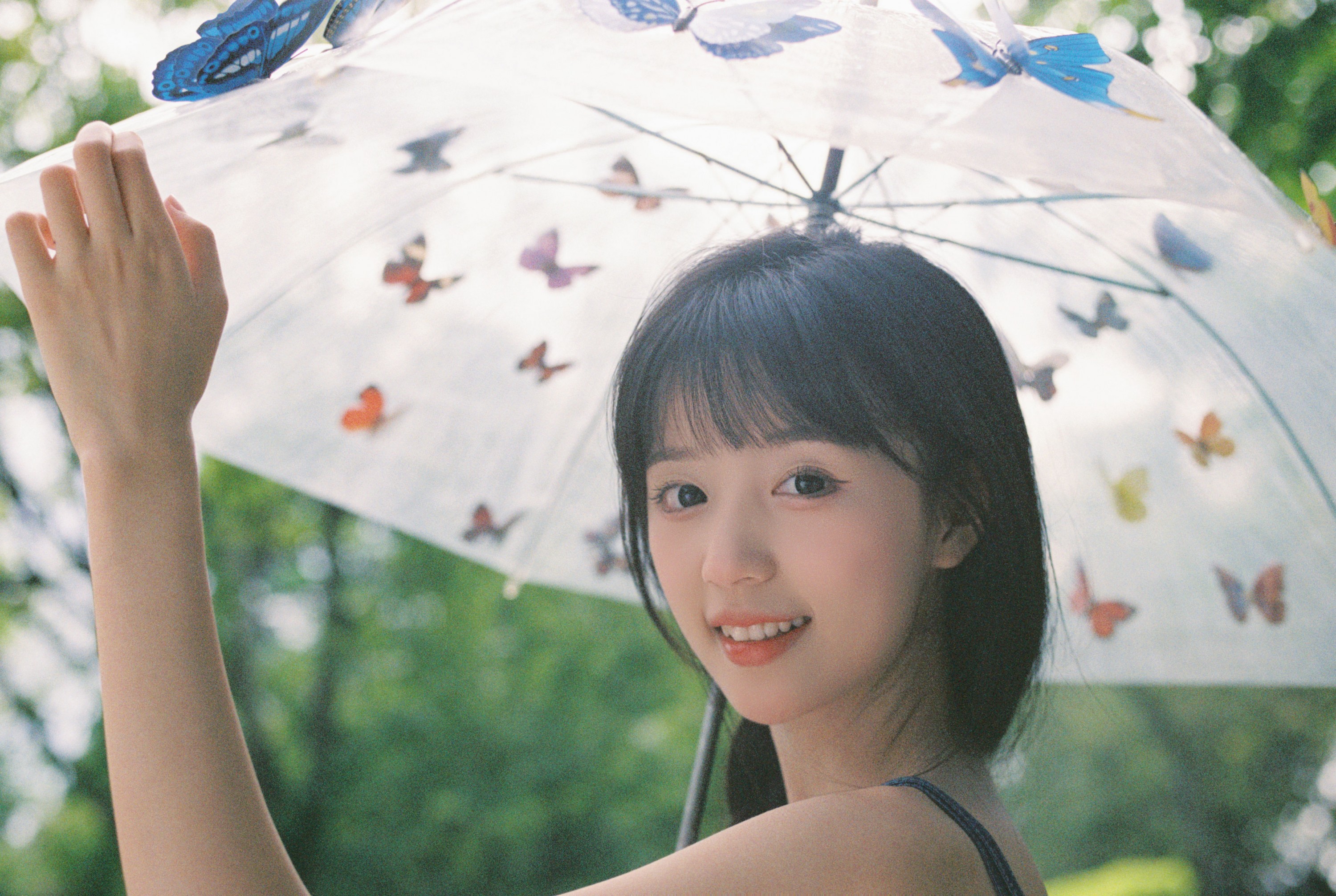 美美晓鱼 - 《蓝色蝴蝶》[24P]