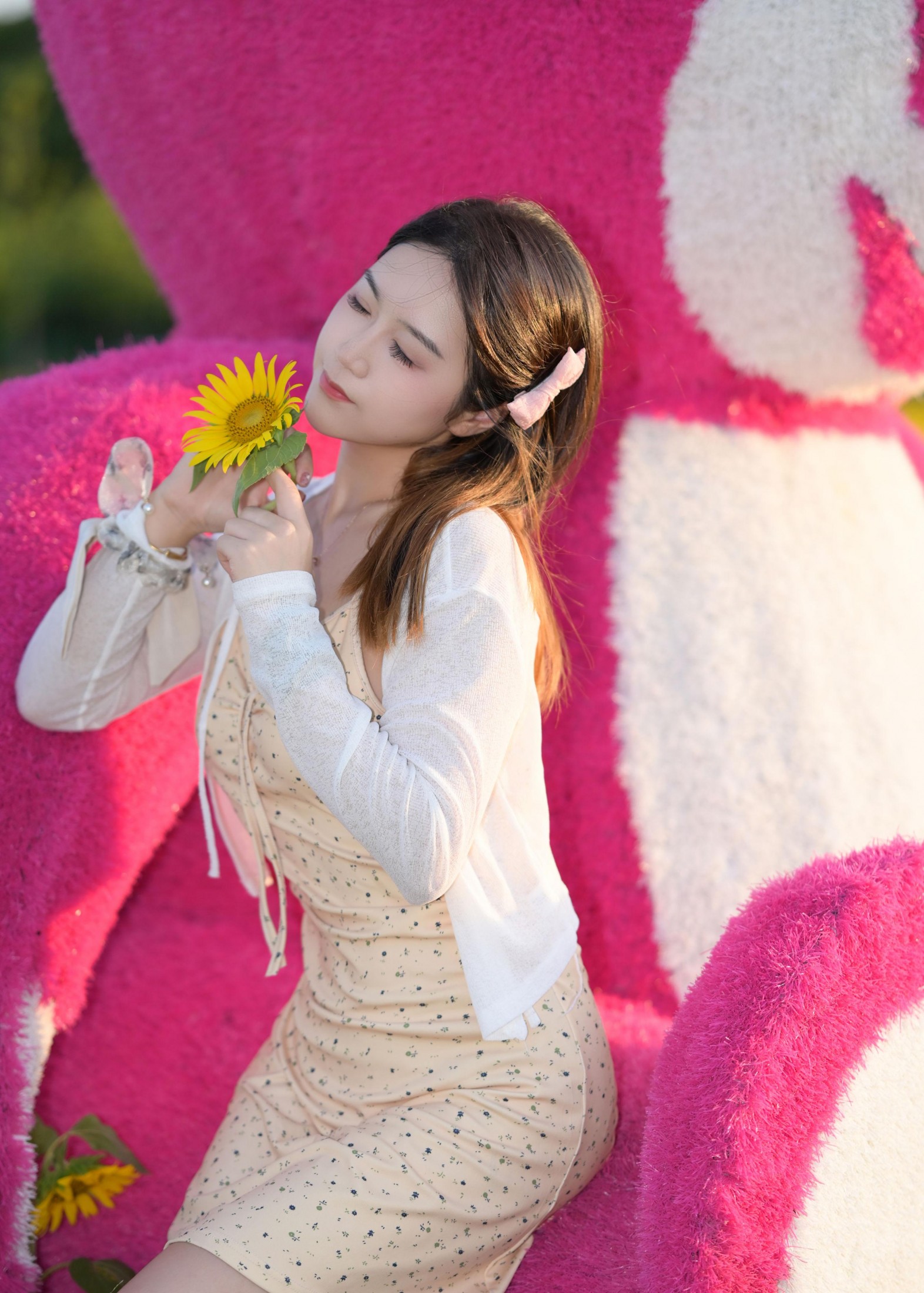 《向日葵的希望》[10P]