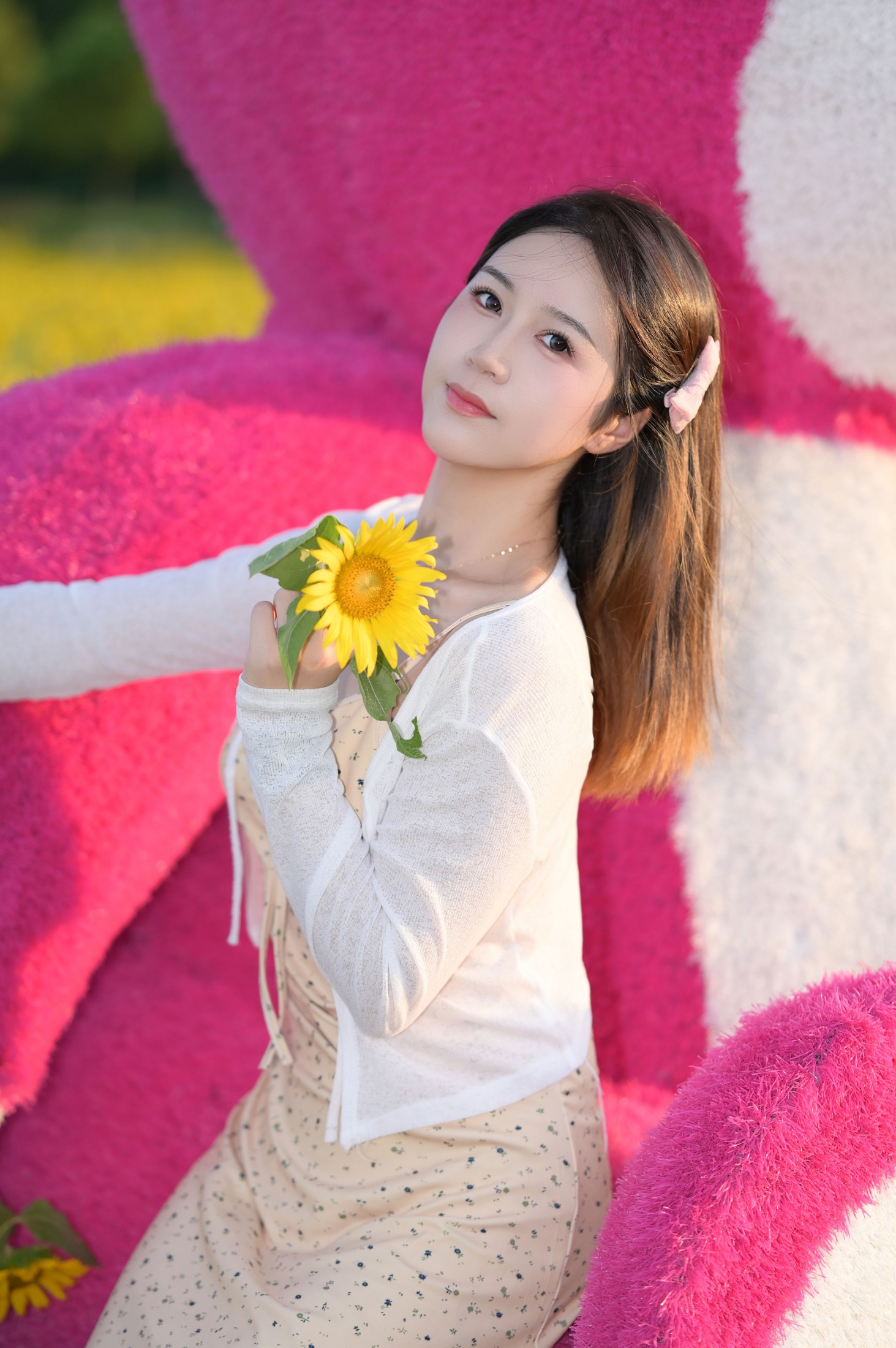 《向日葵的希望》[10P]