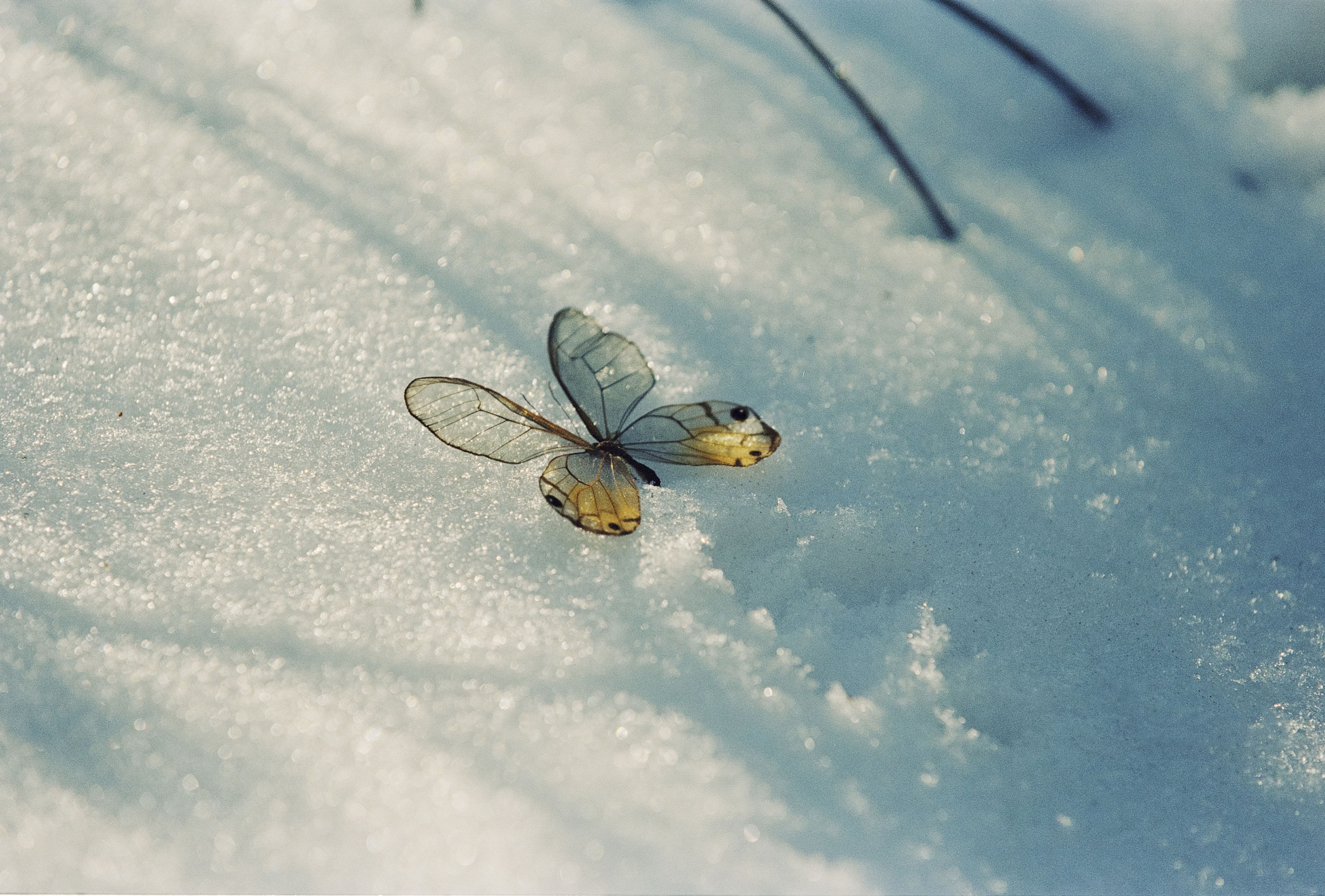 陈子翮 - 《情书》[28P]