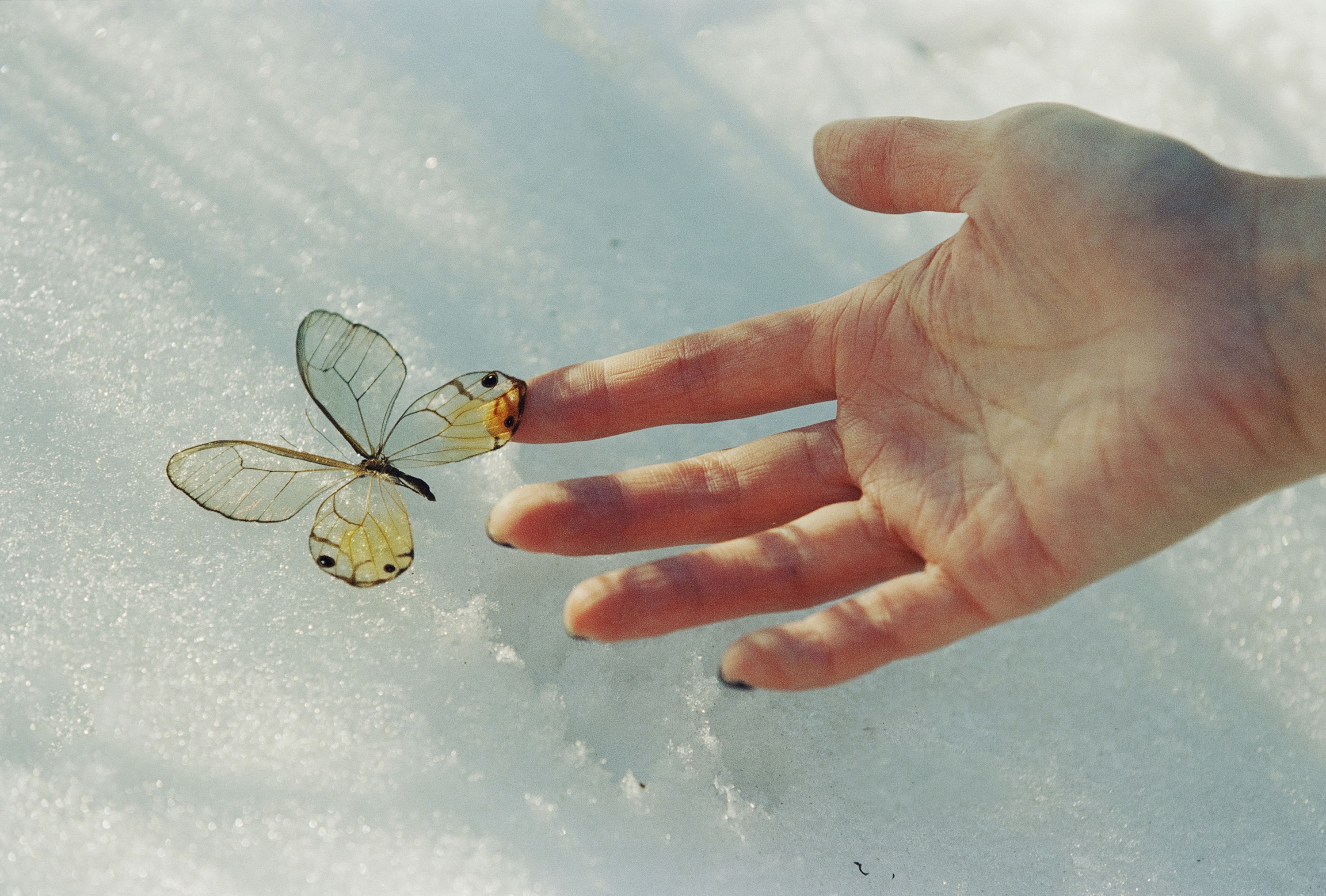 陈子翮 - 《情书》[28P]