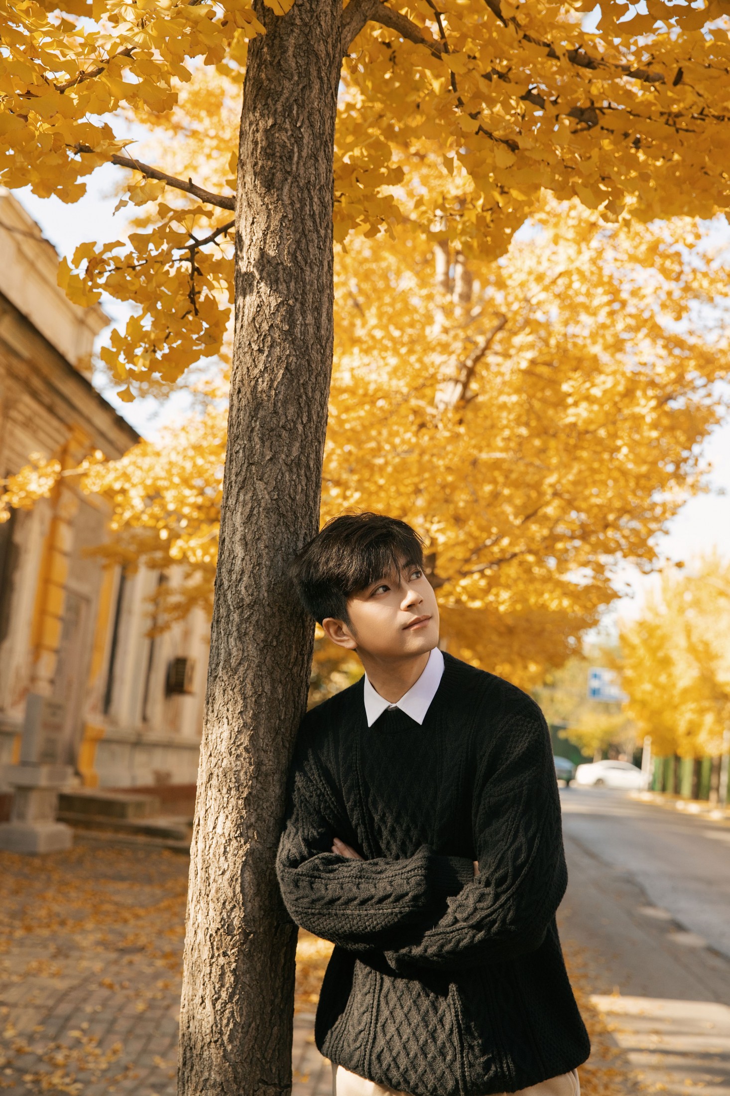 海洋Make-upman - 《秋意浓时，在银杏树下邂逅温柔时光》[24P]