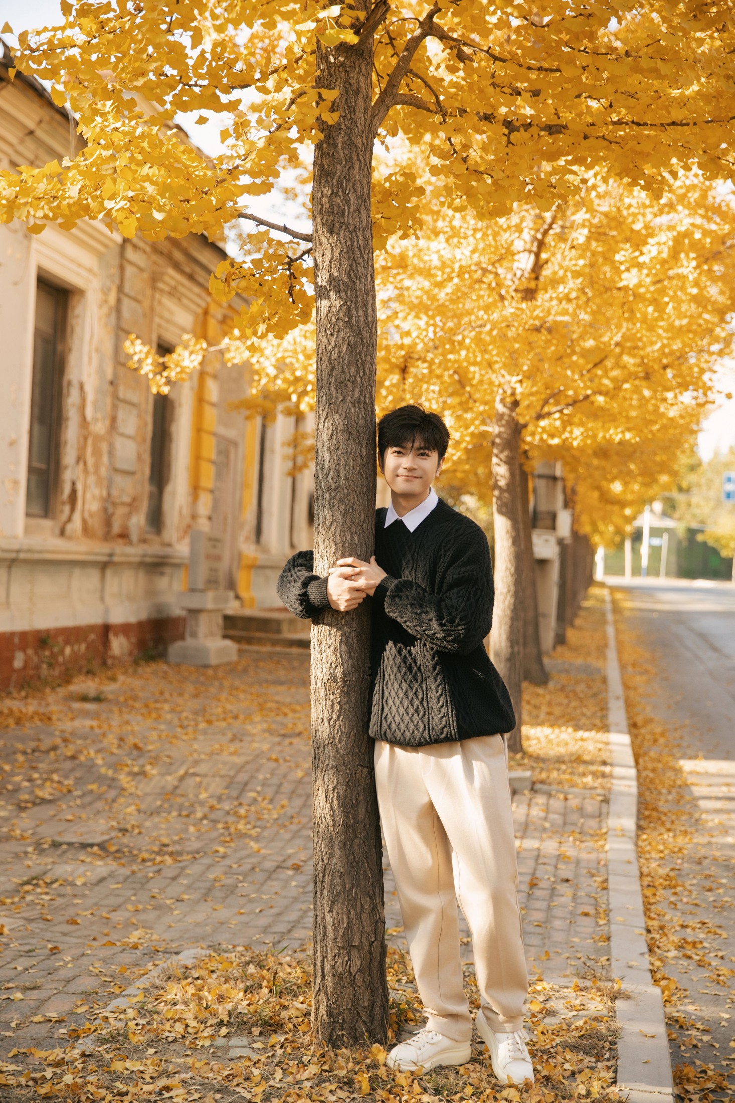 海洋Make-upman - 《秋意浓时，在银杏树下邂逅温柔时光》[24P]