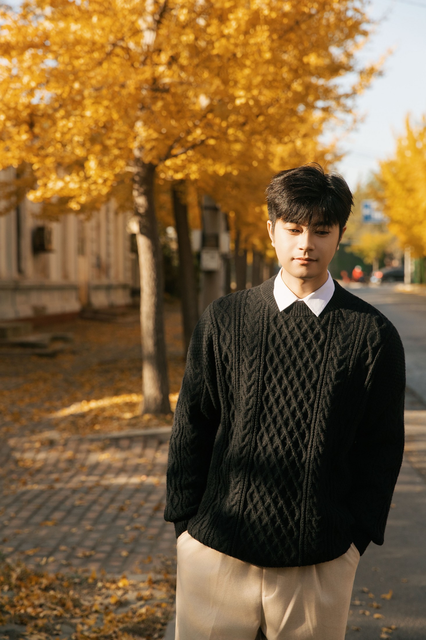 海洋Make-upman - 《秋意浓时，在银杏树下邂逅温柔时光》[24P]