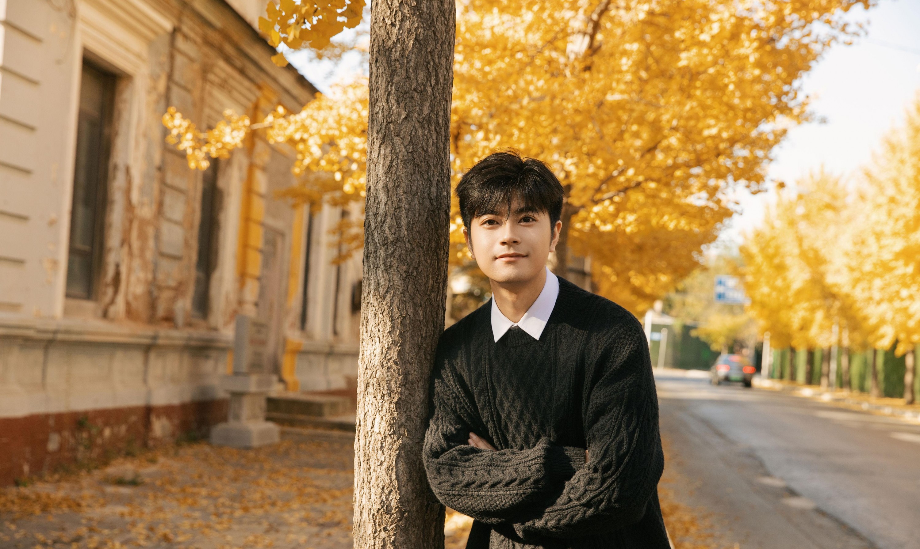 海洋Make-upman - 《秋意浓时，在银杏树下邂逅温柔时光》[24P]