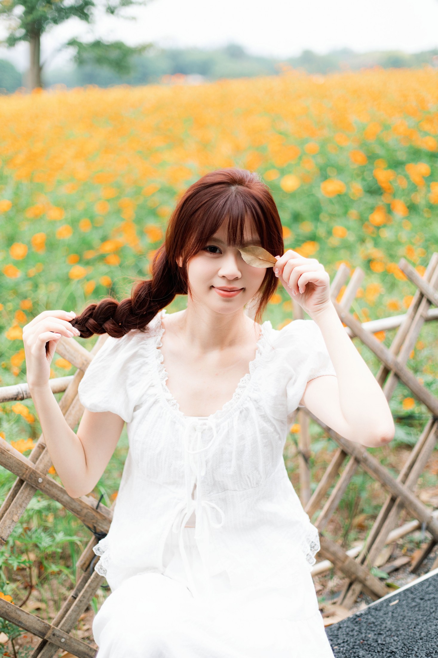 梨一斤 - 《黄金花海》[10P]