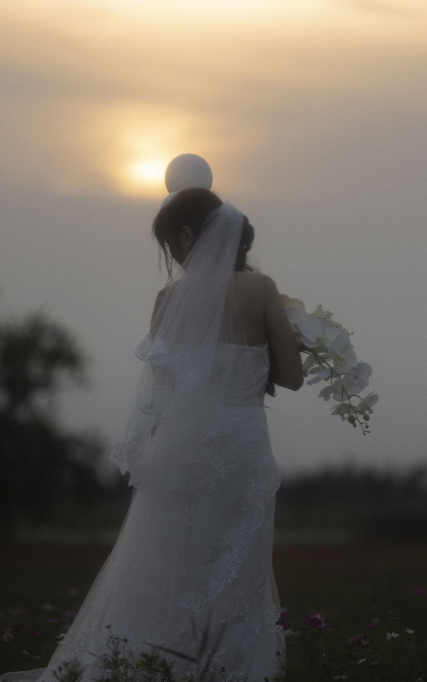 土豆 - 《十月的花海》[15P]