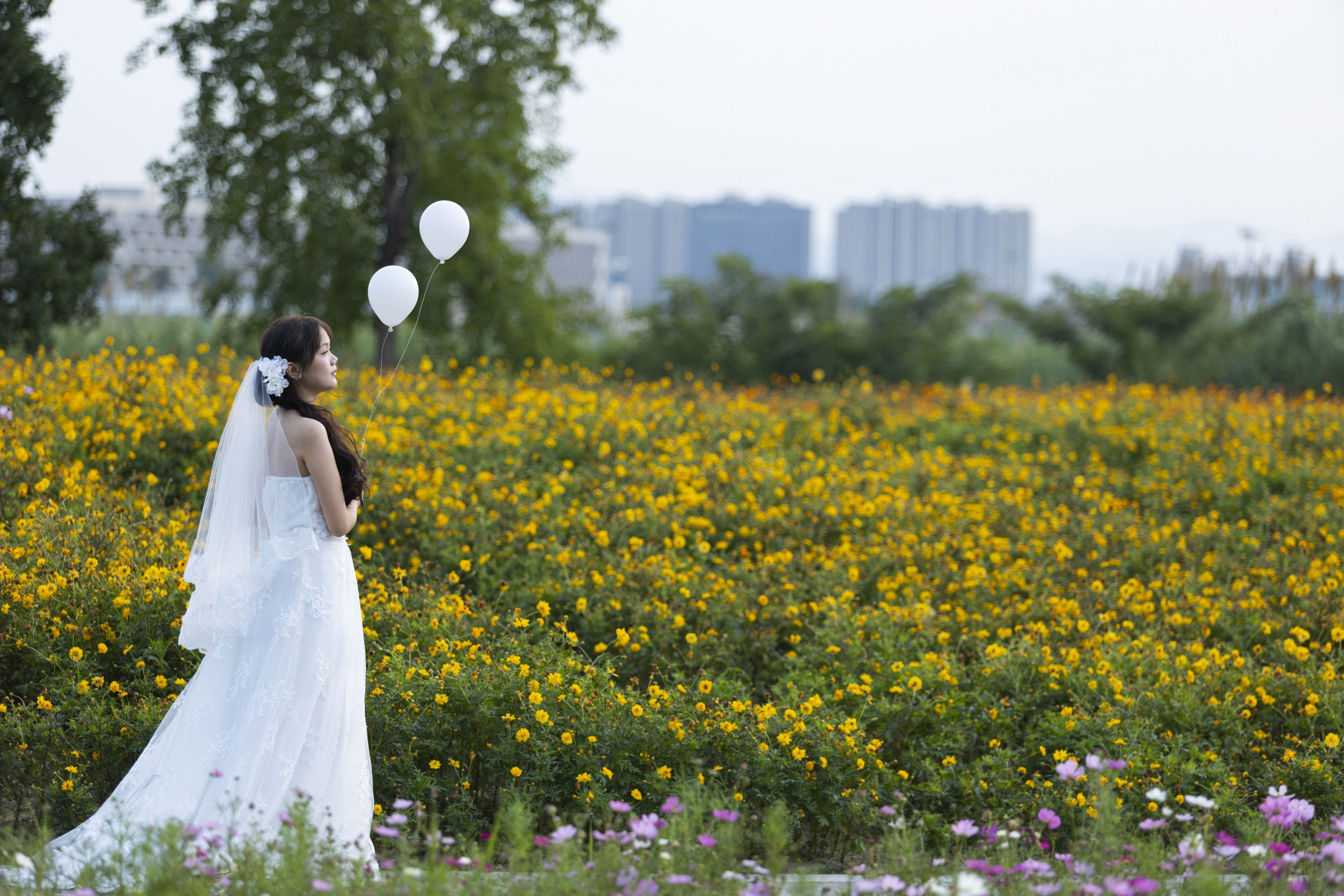 土豆 - 《十月的花海》[15P]