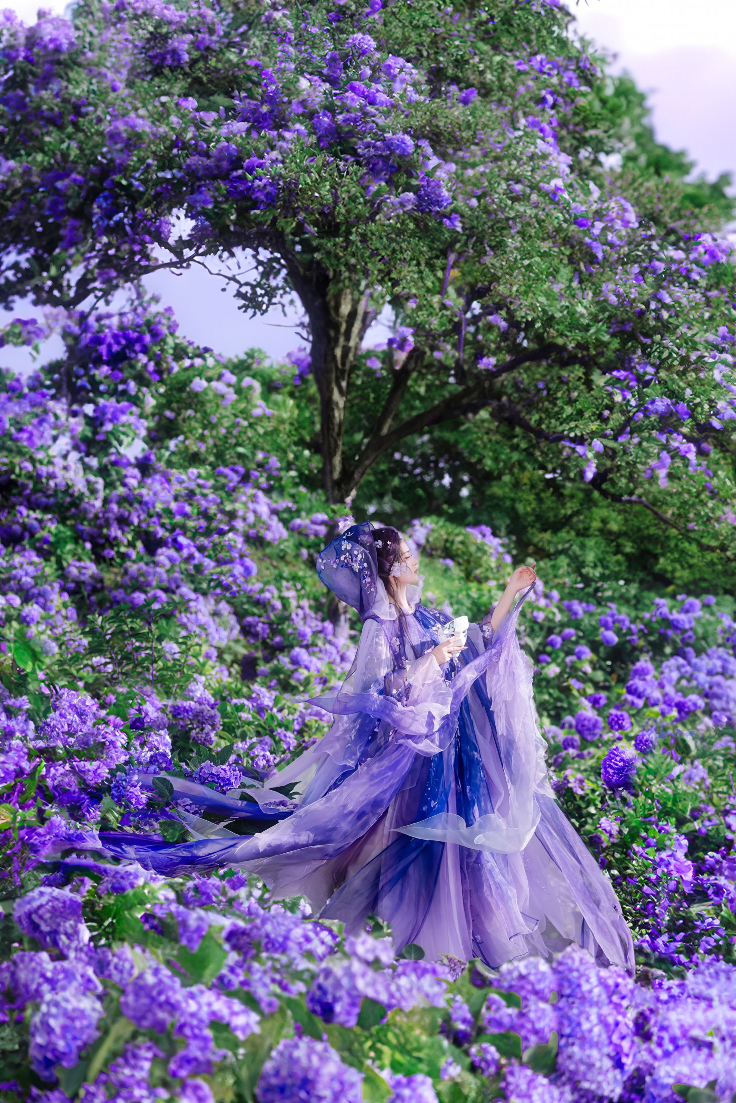 乐安 - 《以花遥祝，四方葳蕤》[18P]