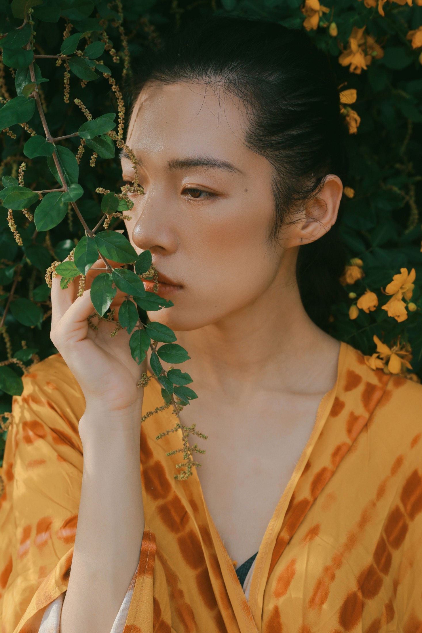 《满树黄花》[21P]