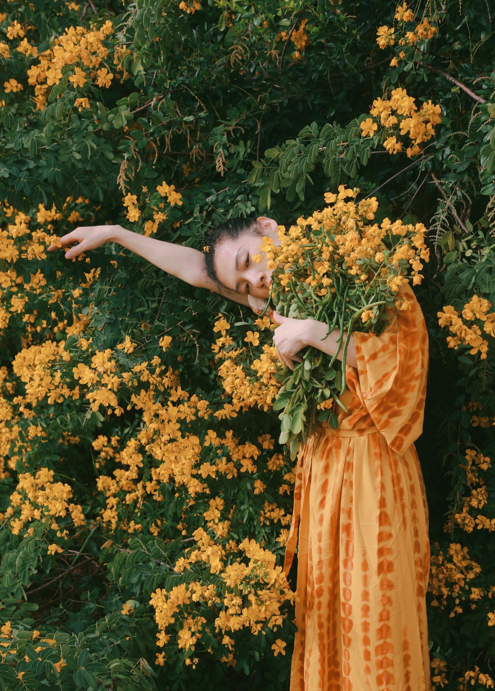 《满树黄花》[21P]