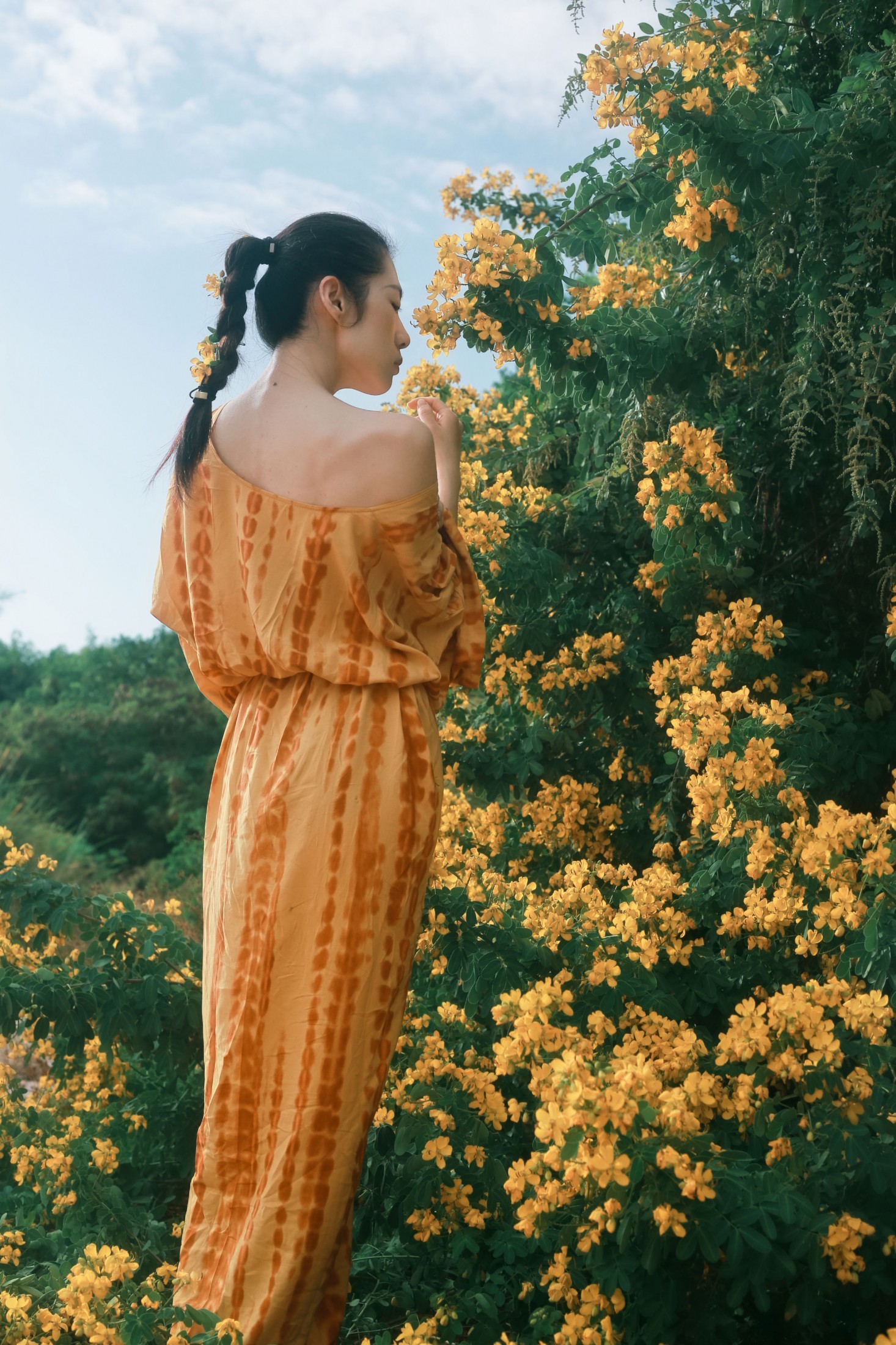 《满树黄花》[21P]