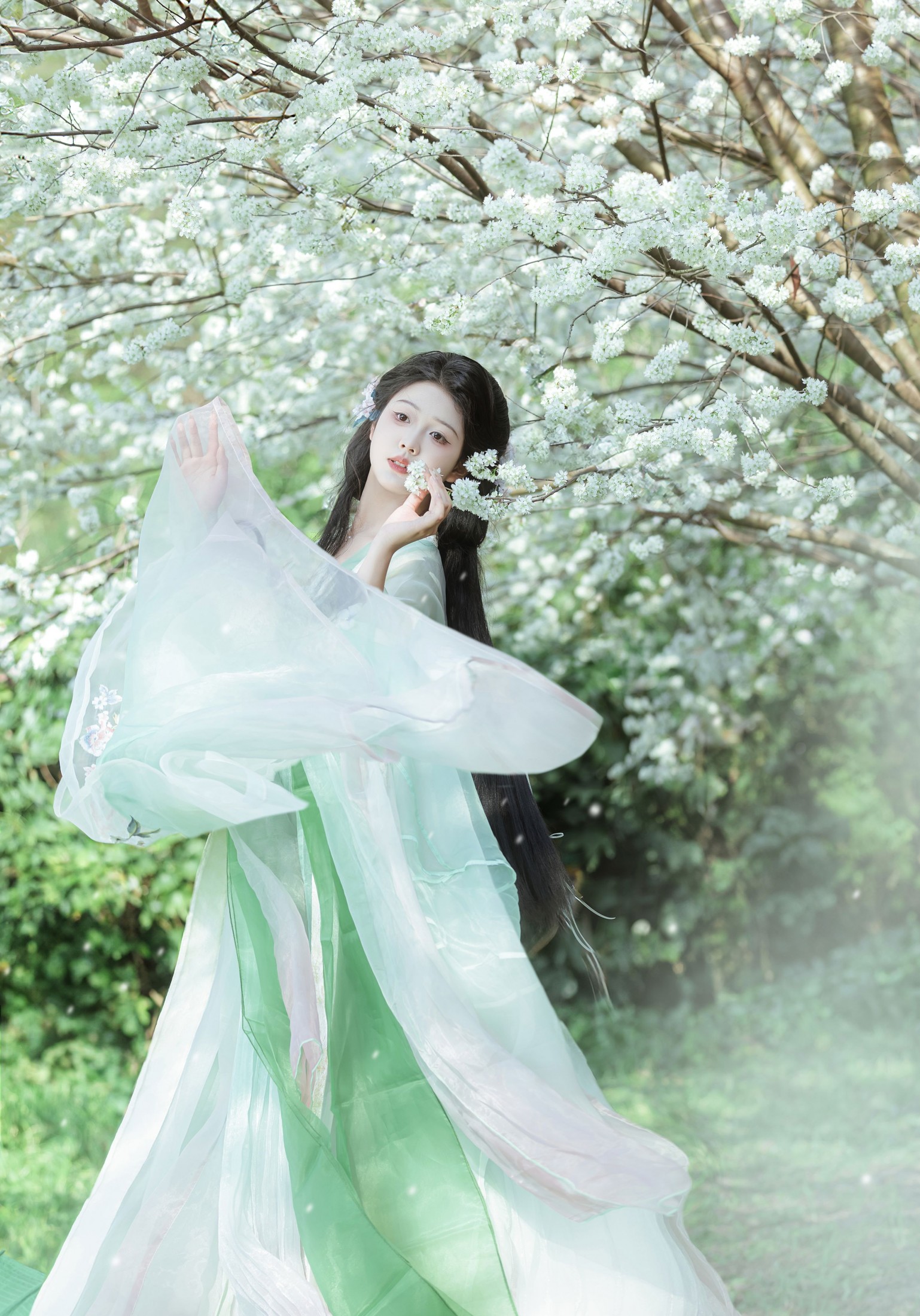 若韵 - 《春姑娘》[11P]