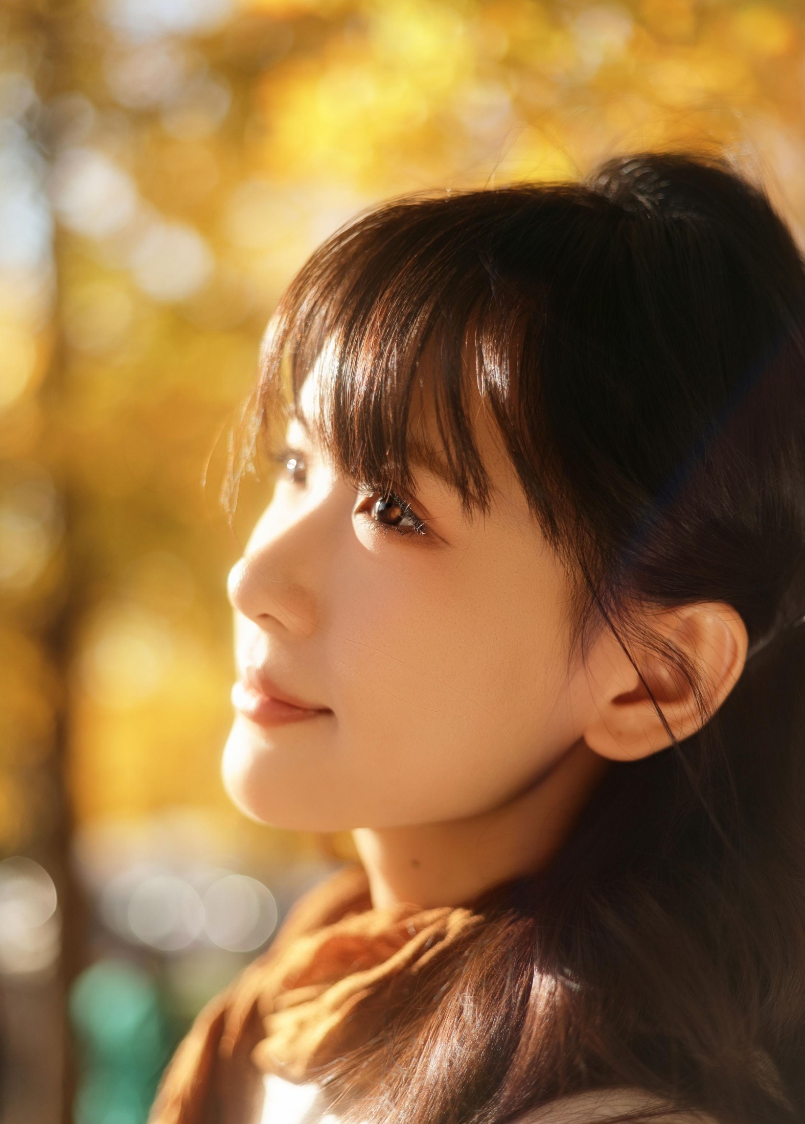 苗苗 - 《在这个落叶像雪的季节》[22P]