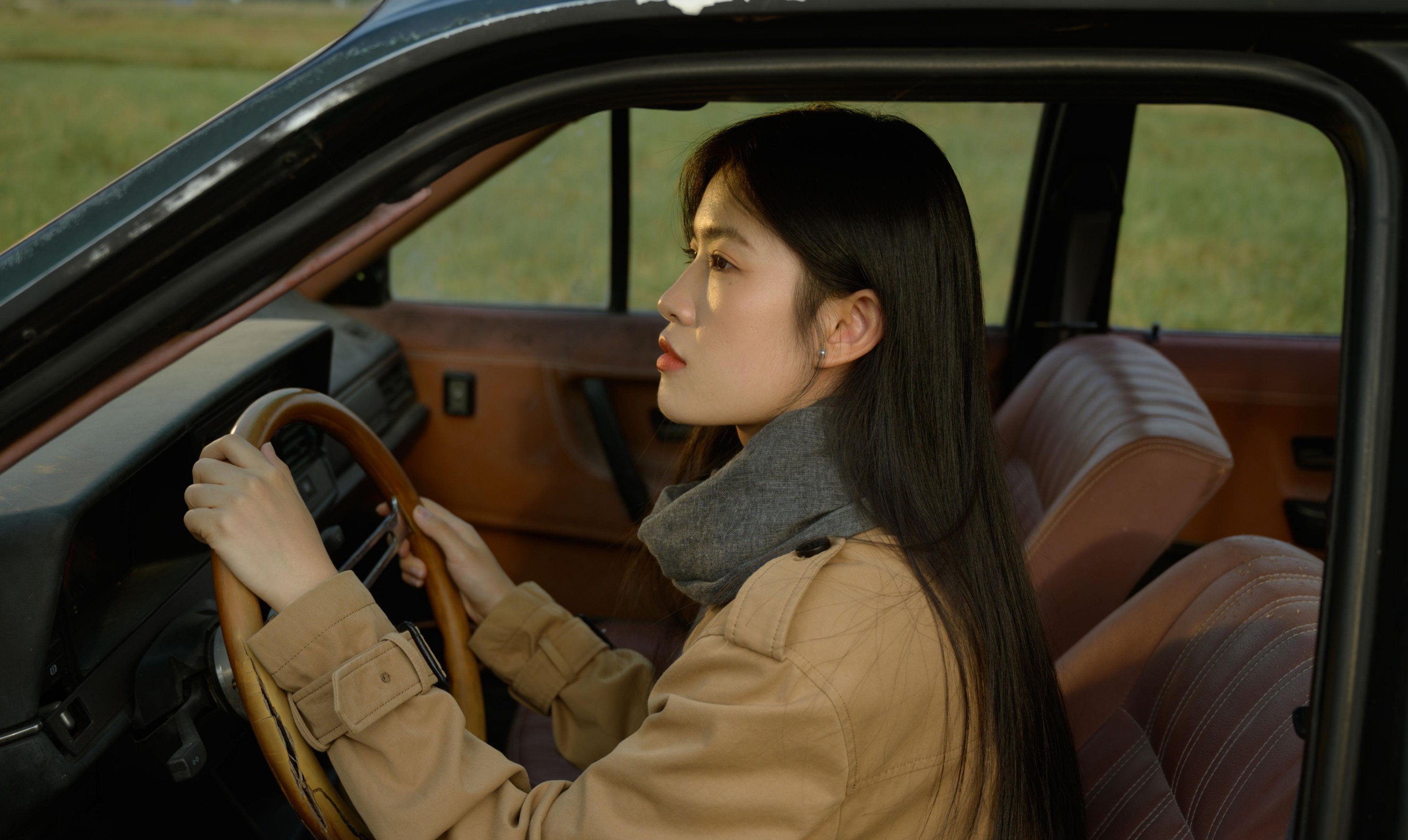 芦苇微微 - 《她不羁的脸像天色将晚》[38P]