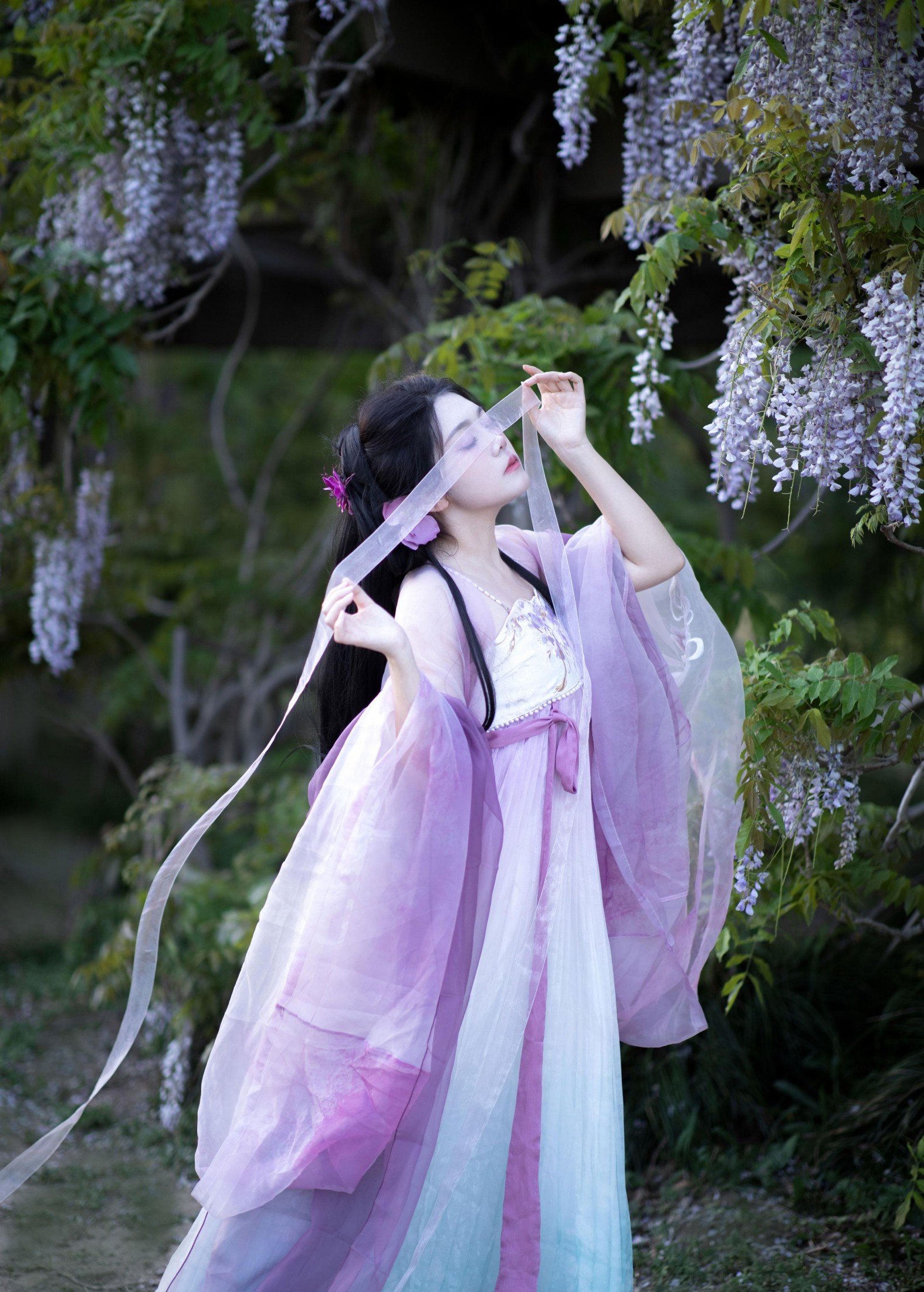 绒绒栗栗 - 《紫藤挂云木》[9P]