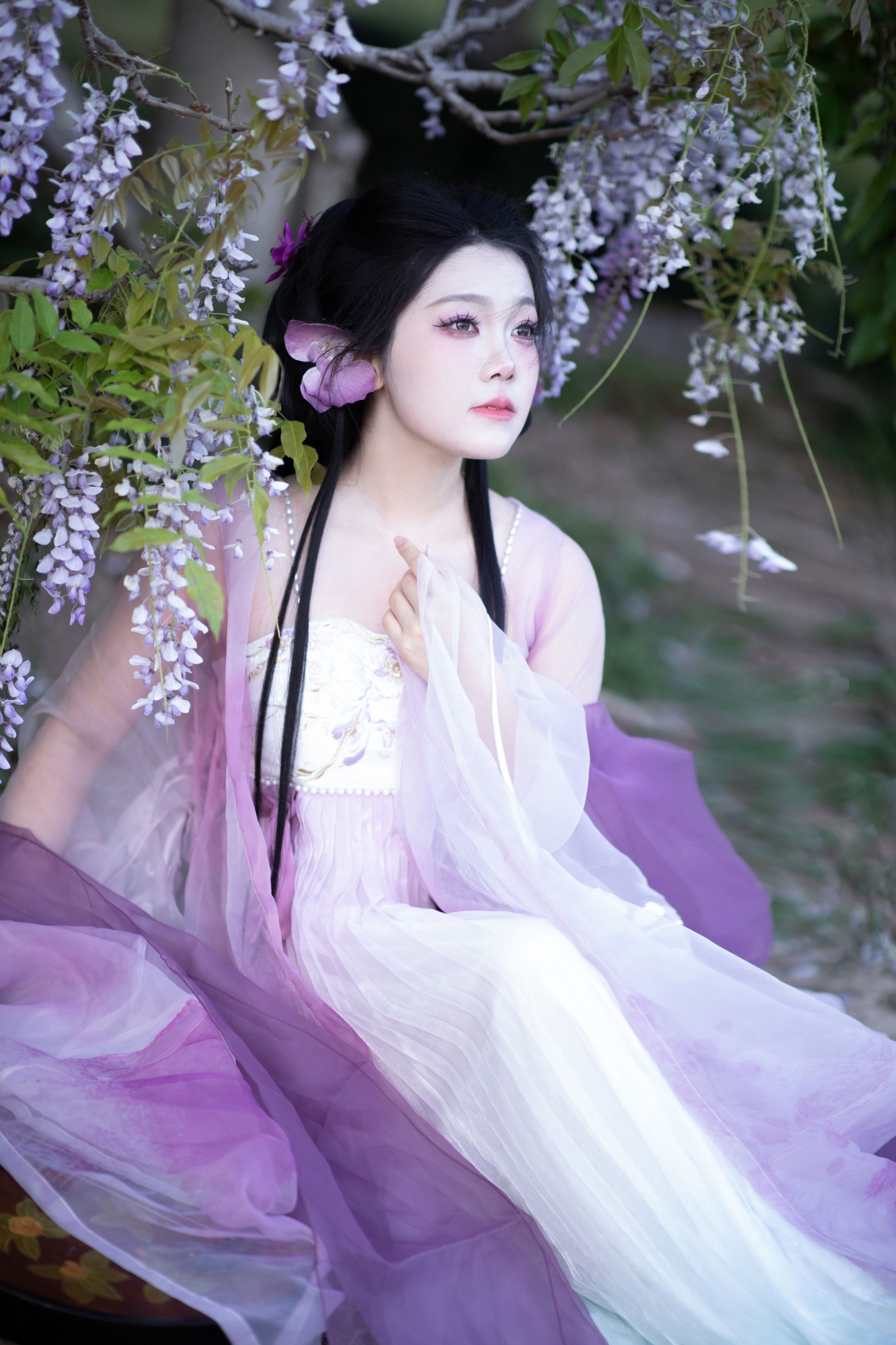 绒绒栗栗 - 《紫藤挂云木》[9P]