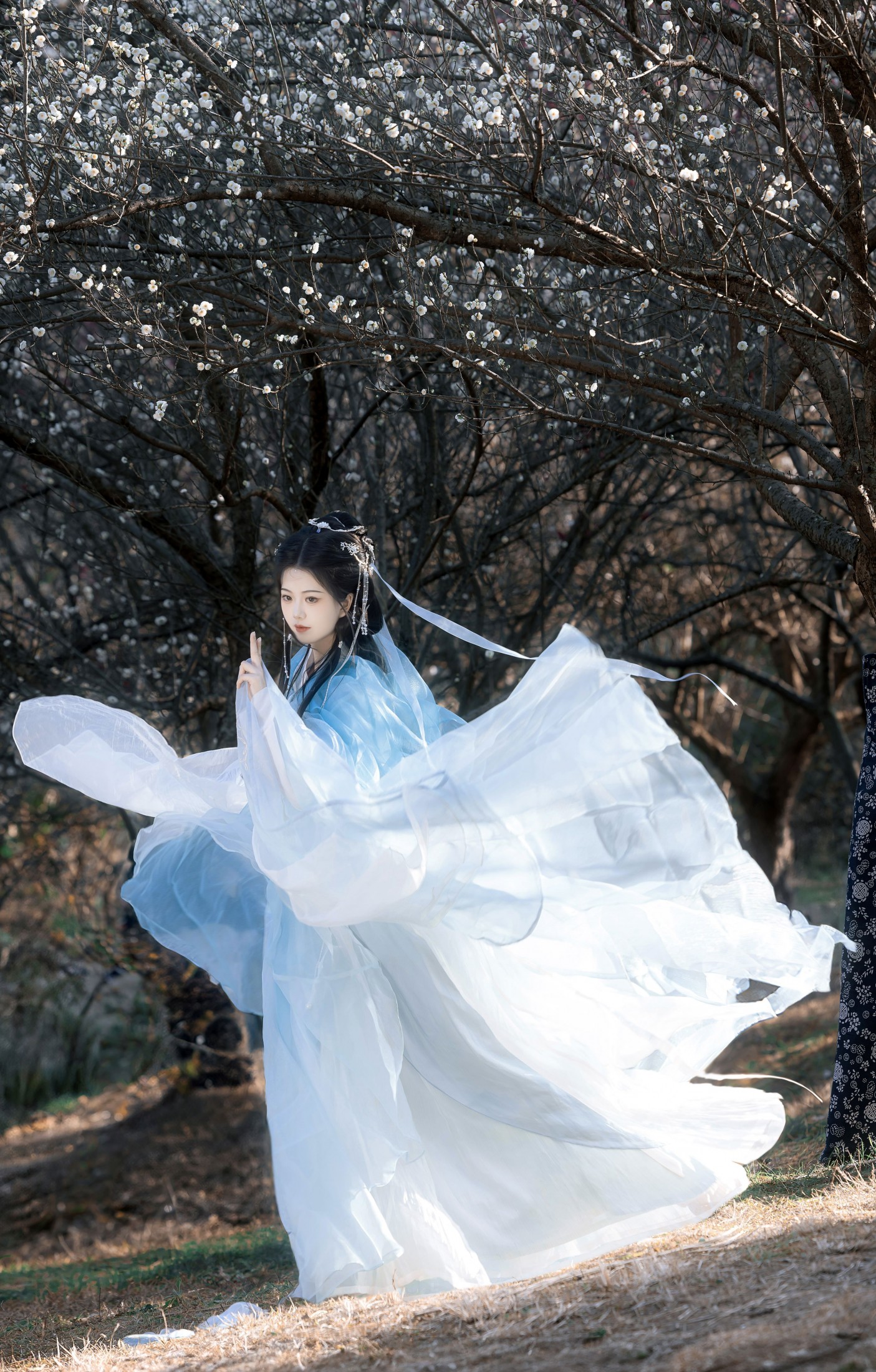 《我欲乘风》[12P]