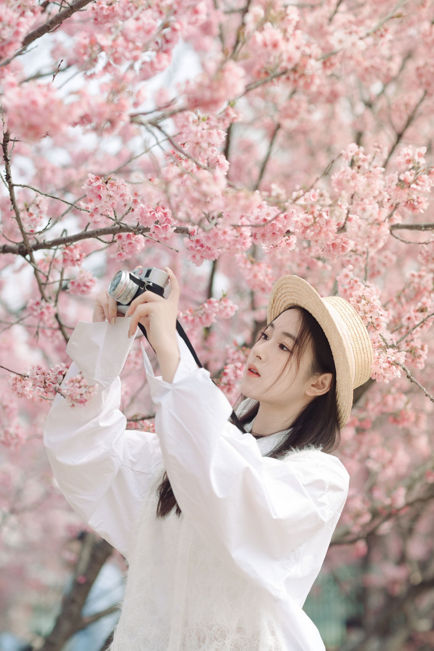 予晗 - 《樱花盛开》[37P]