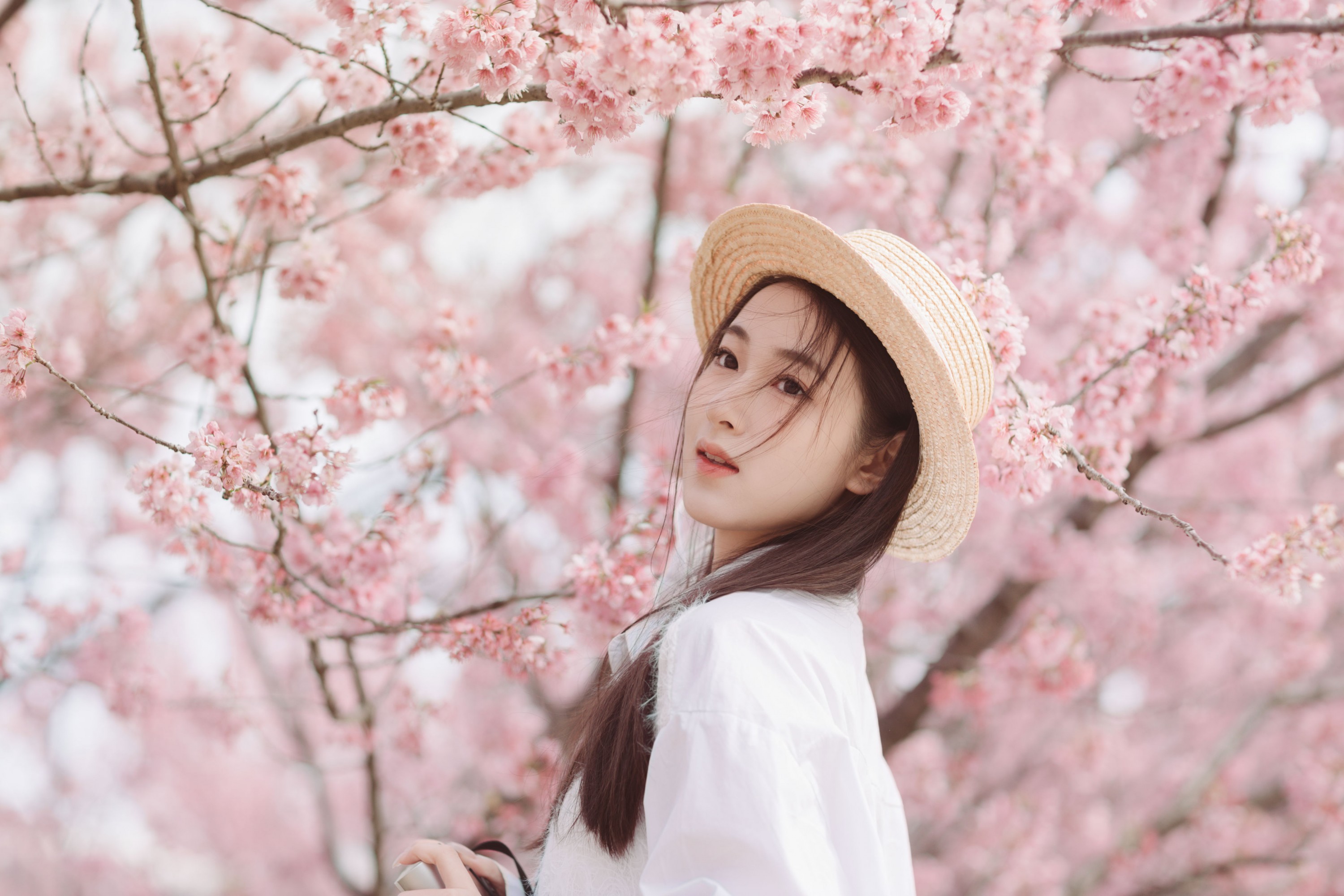 予晗 - 《樱花盛开》[37P]