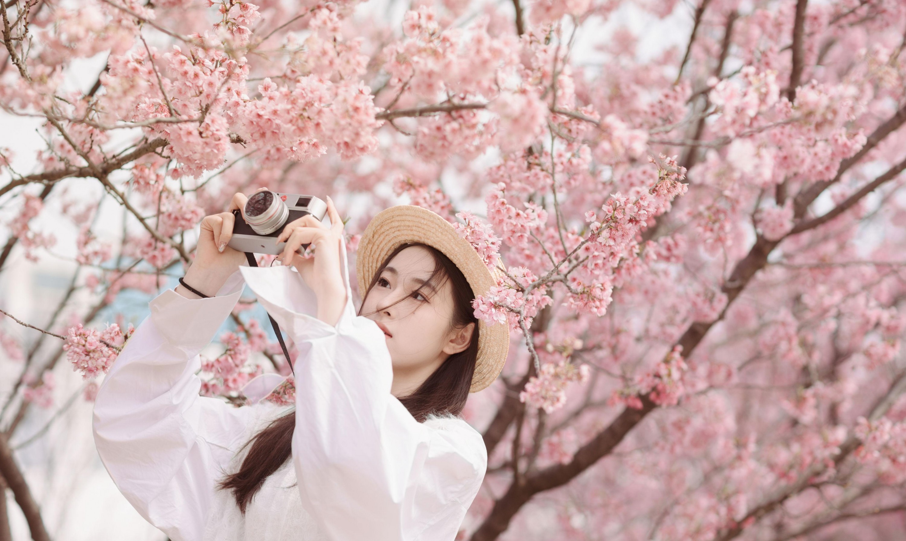 予晗 - 《樱花盛开》[37P]