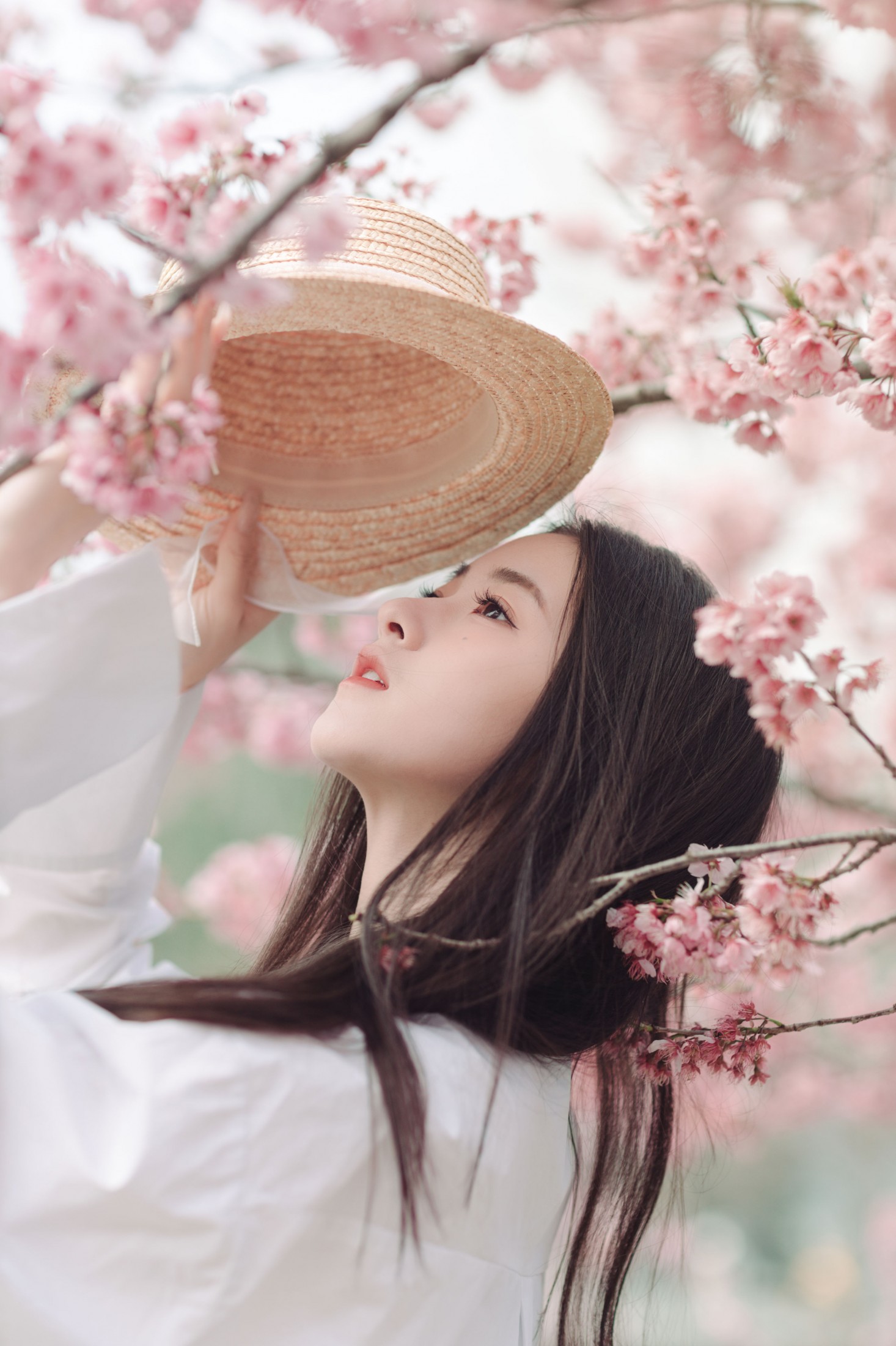 予晗 - 《樱花盛开》[37P]