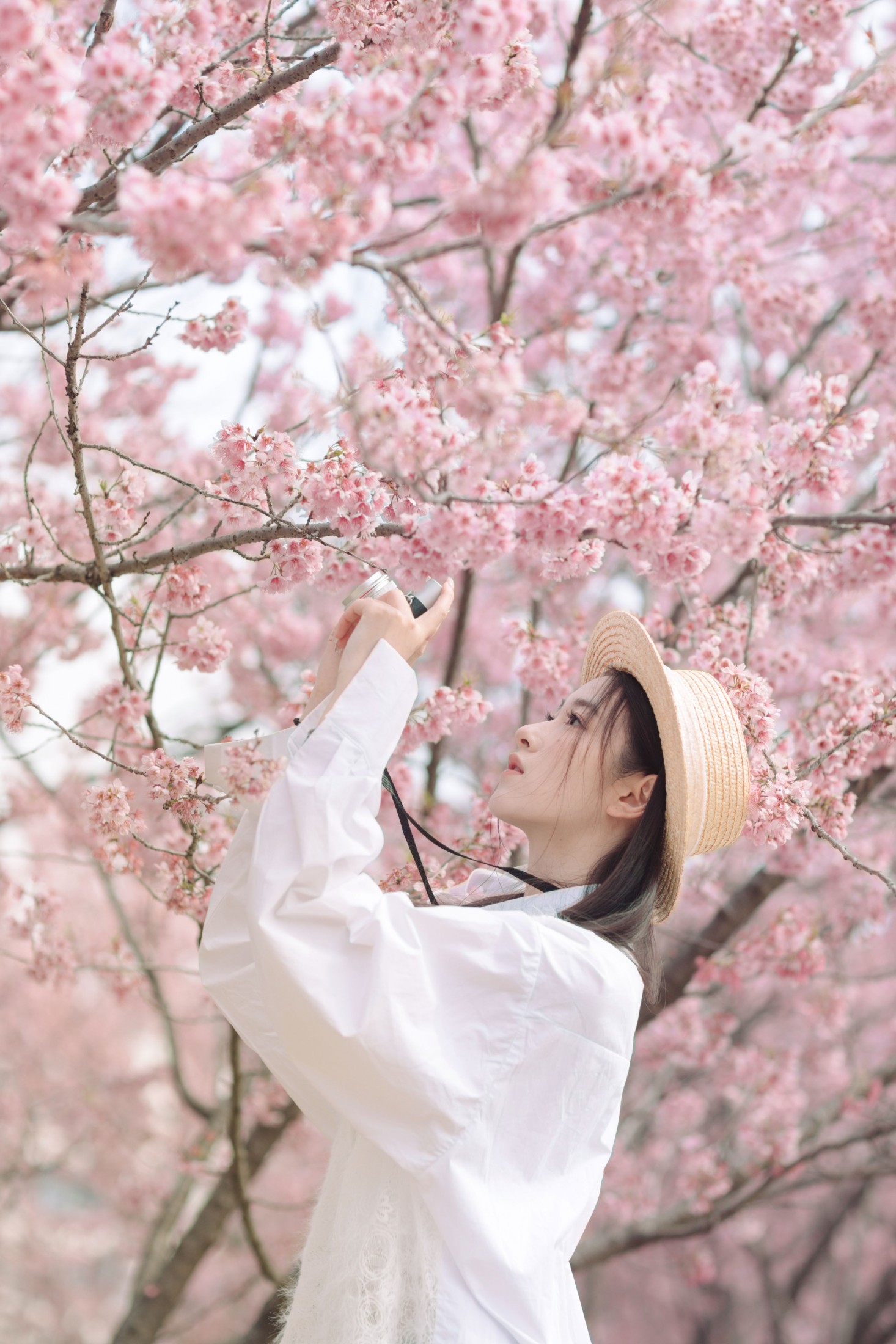 予晗 - 《樱花盛开》[37P]