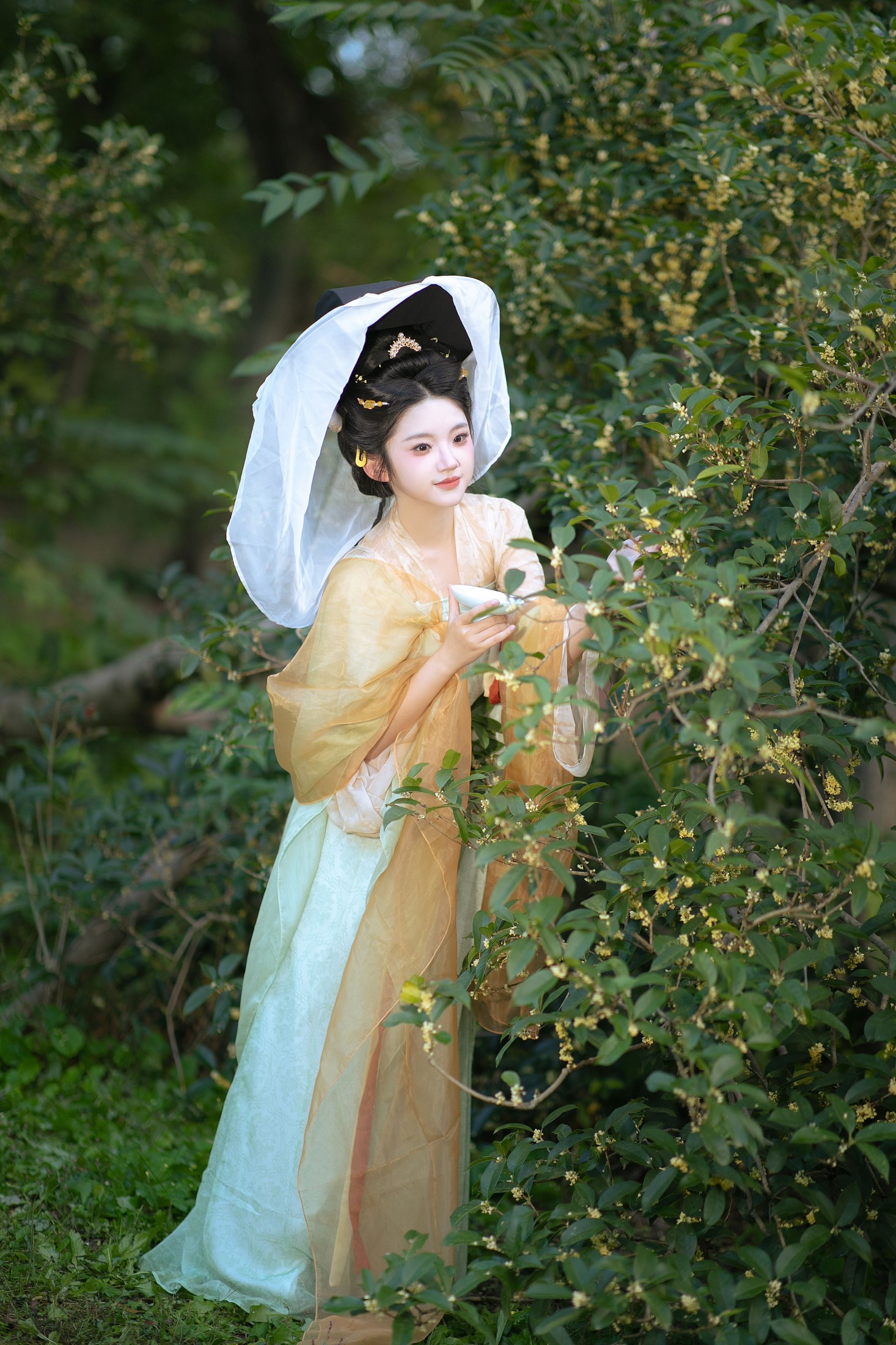 熊猫牙 - 《几度秋意浓，最是桂花香。》[12P]