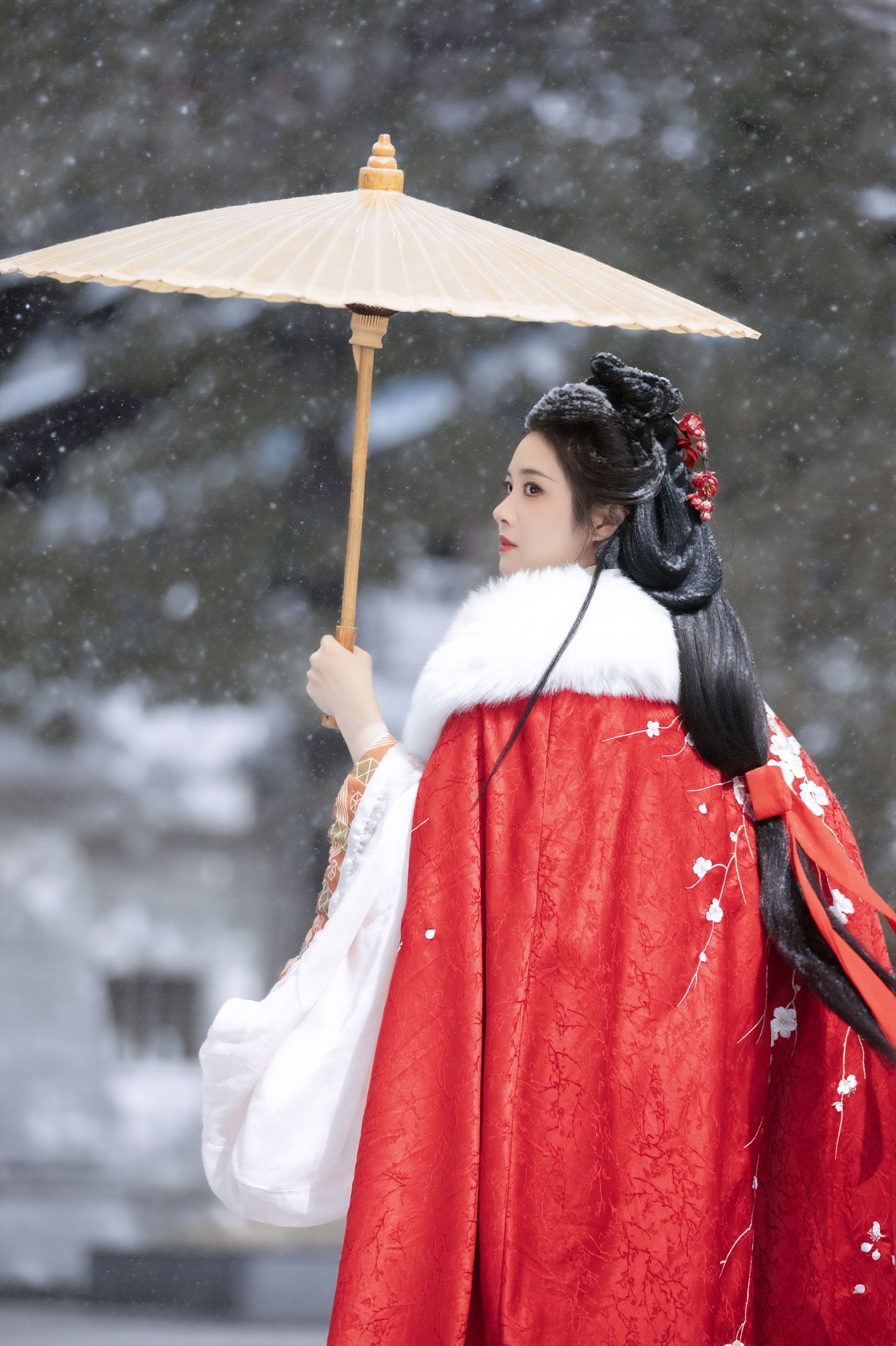 三也酱酱 - 《红梅白雪知》[26P]