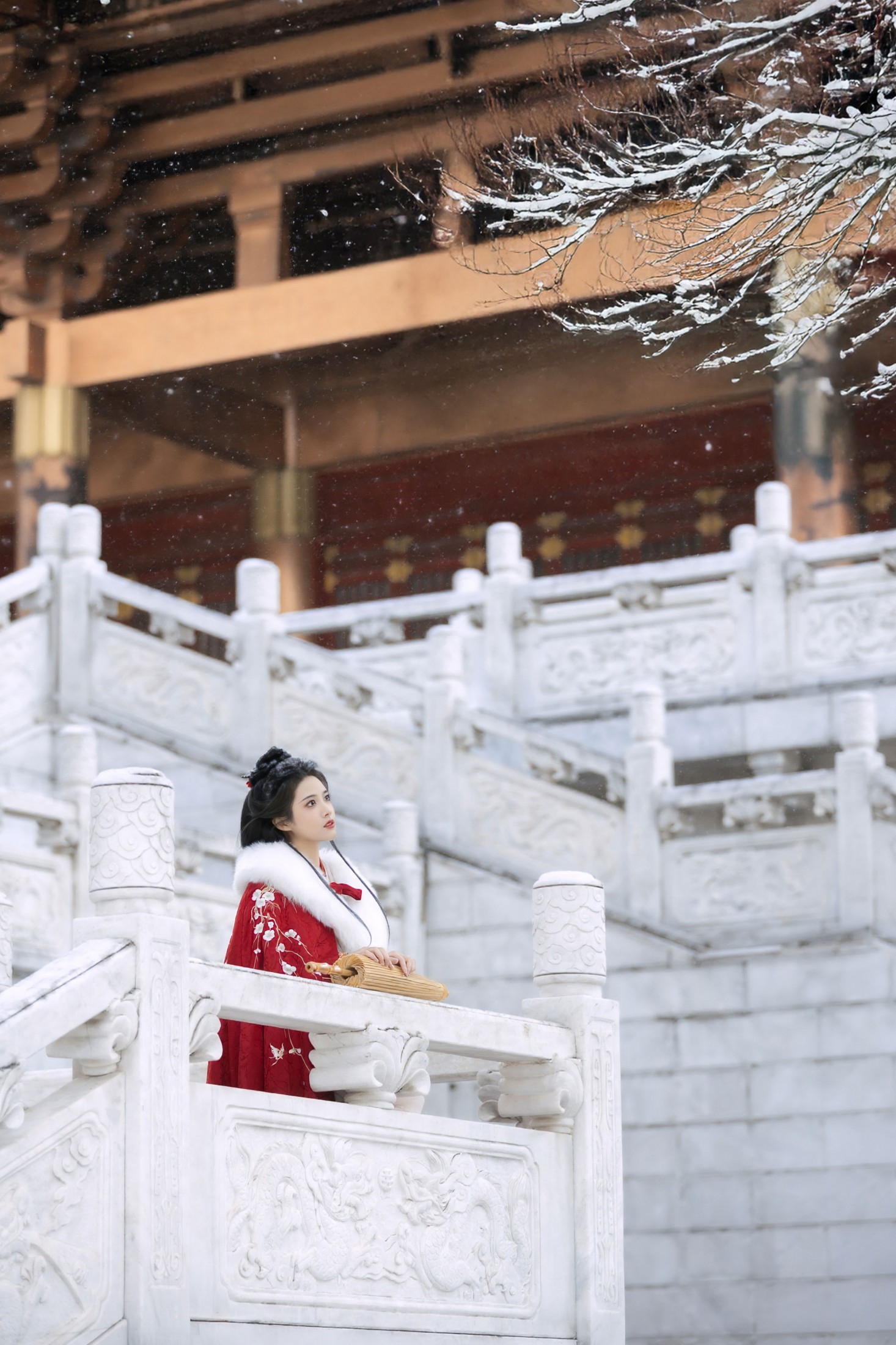 三也酱酱 - 《红梅白雪知》[26P]