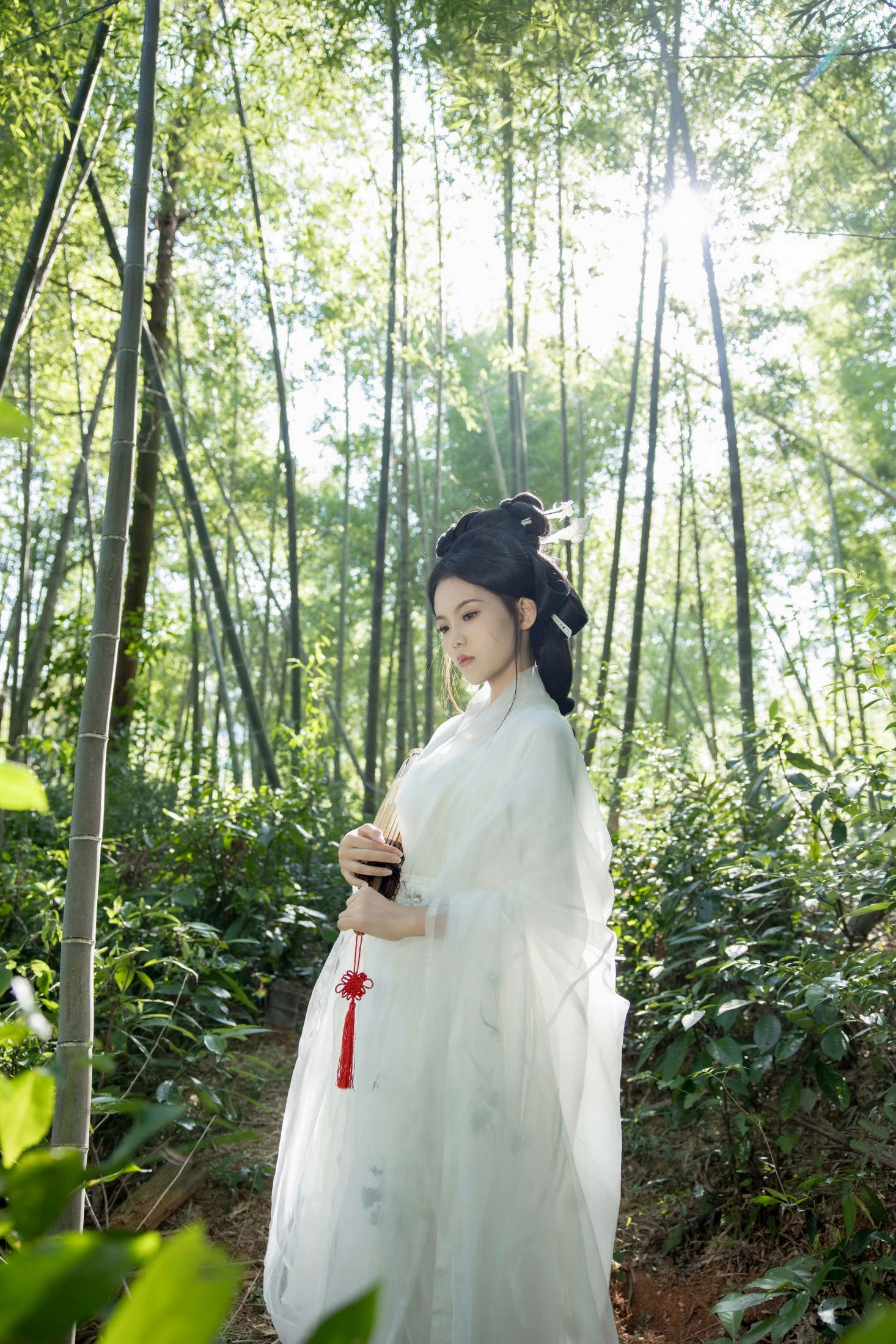 陈十二ing - 《竹青林深》[48P]