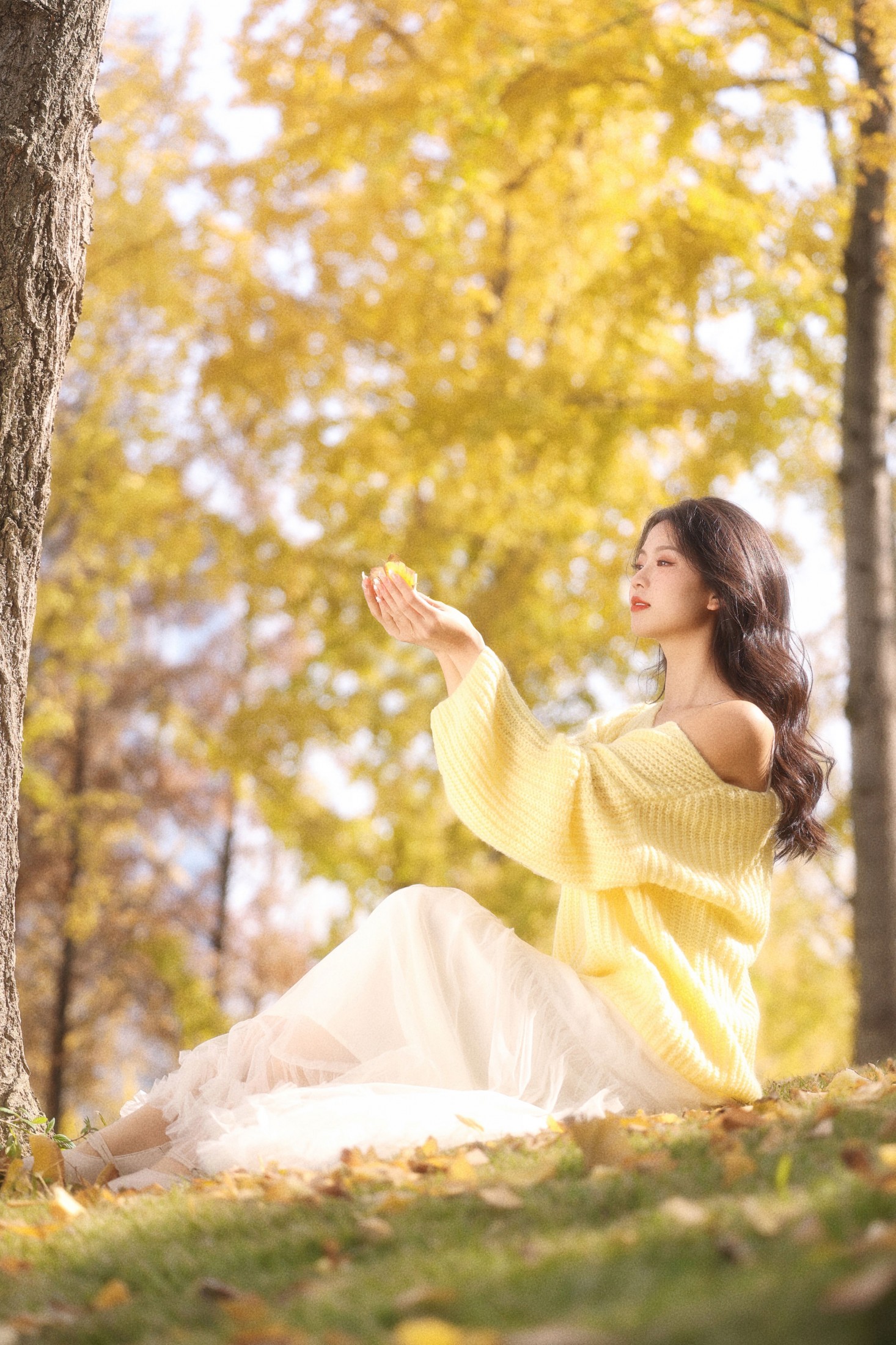 《秋日温柔限定秋日浪漫一大半是银杏给的》[29P]